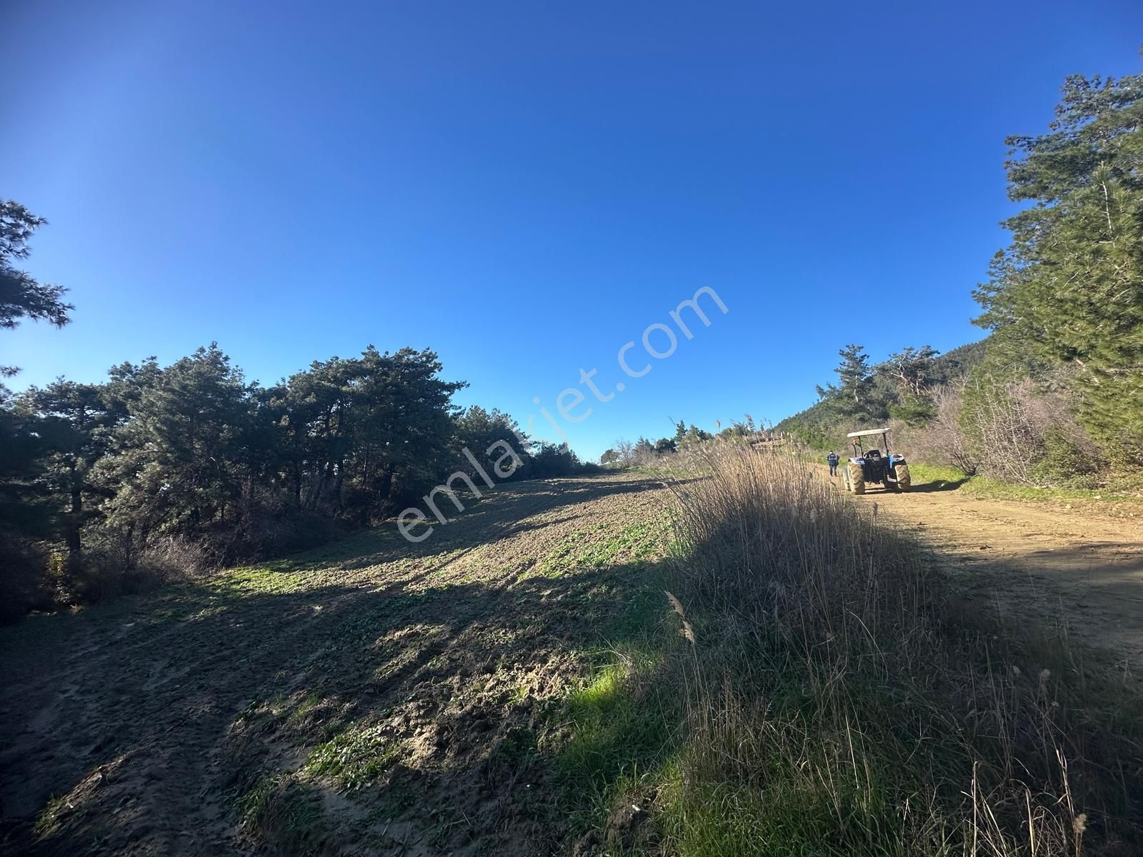 Gelibolu Burhanlı'da Kaçırılmayacak Arazi Fırsatı!-acil Satılık. - Görsel 8