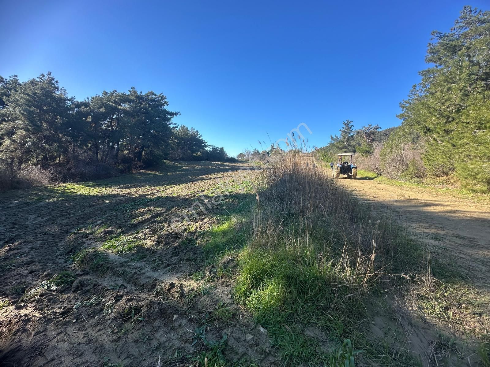 Gelibolu Burhanlı'da Kaçırılmayacak Arazi Fırsatı!-acil Satılık.