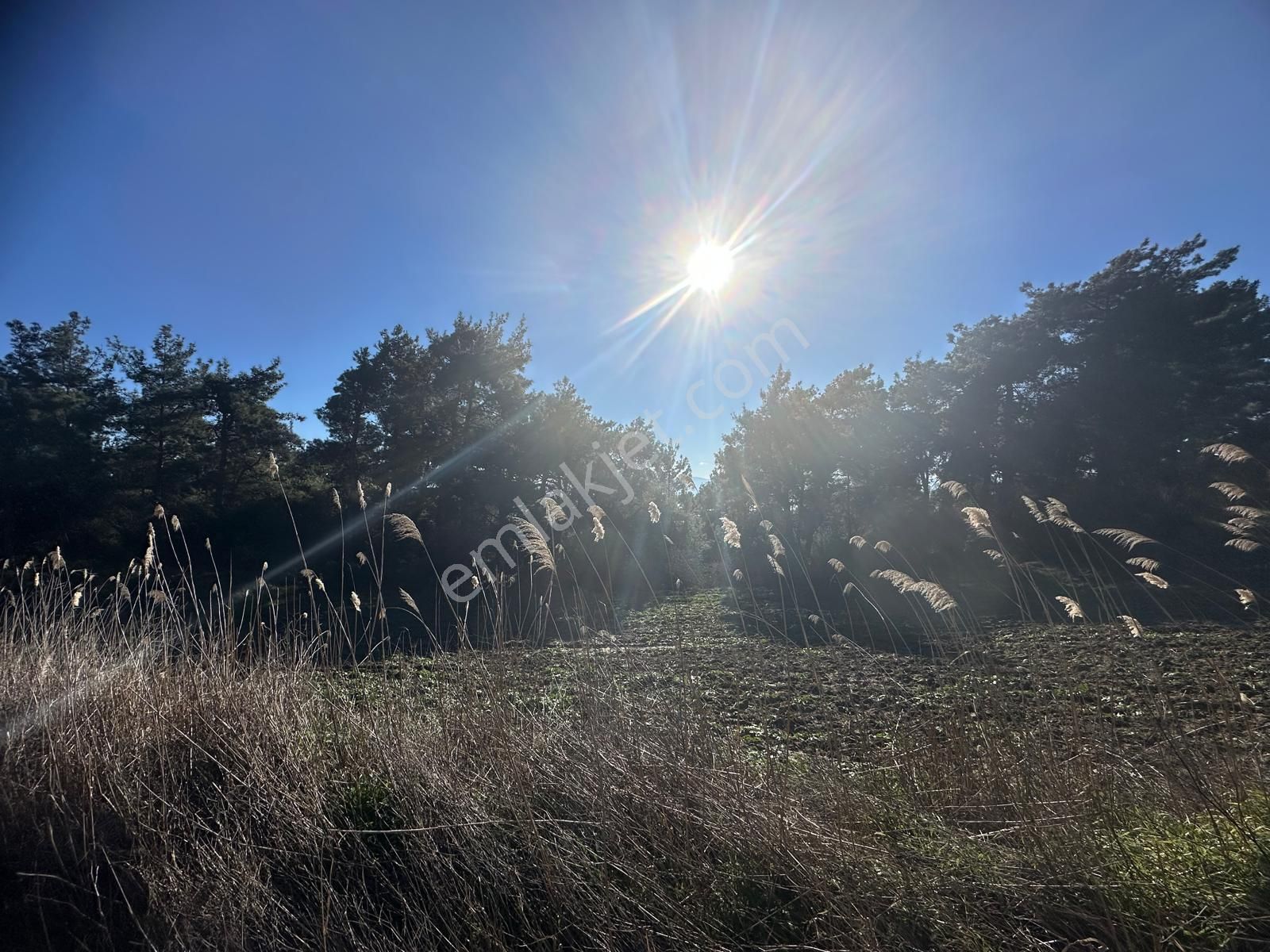 Gelibolu Burhanlı'da Kaçırılmayacak Arazi Fırsatı!-acil Satılık. - Görsel 4