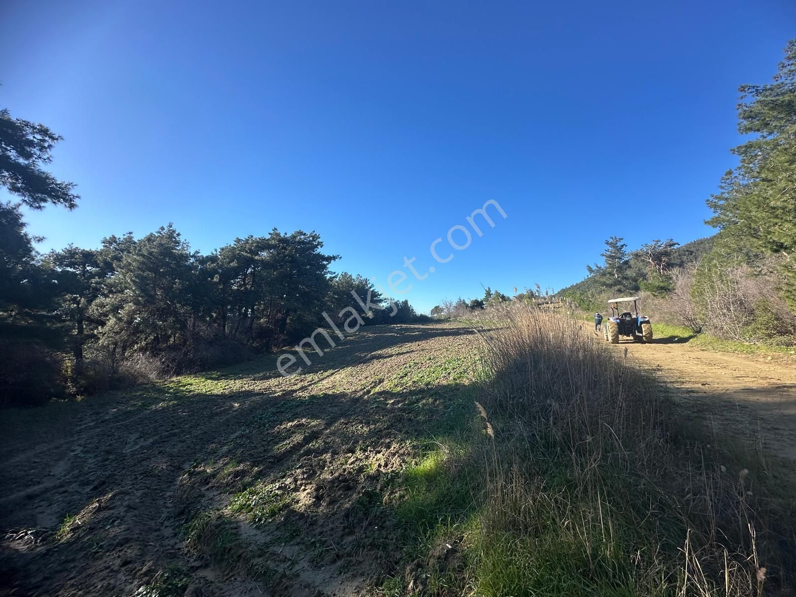 Gelibolu Burhanlı'da Kaçırılmayacak Arazi Fırsatı!-acil Satılık. - Görsel 7