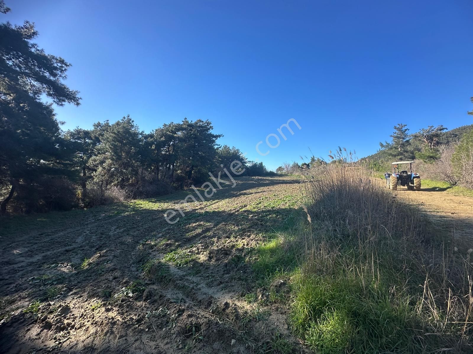 Gelibolu Burhanlı'da Kaçırılmayacak Arazi Fırsatı!-acil Satılık. - Görsel 6