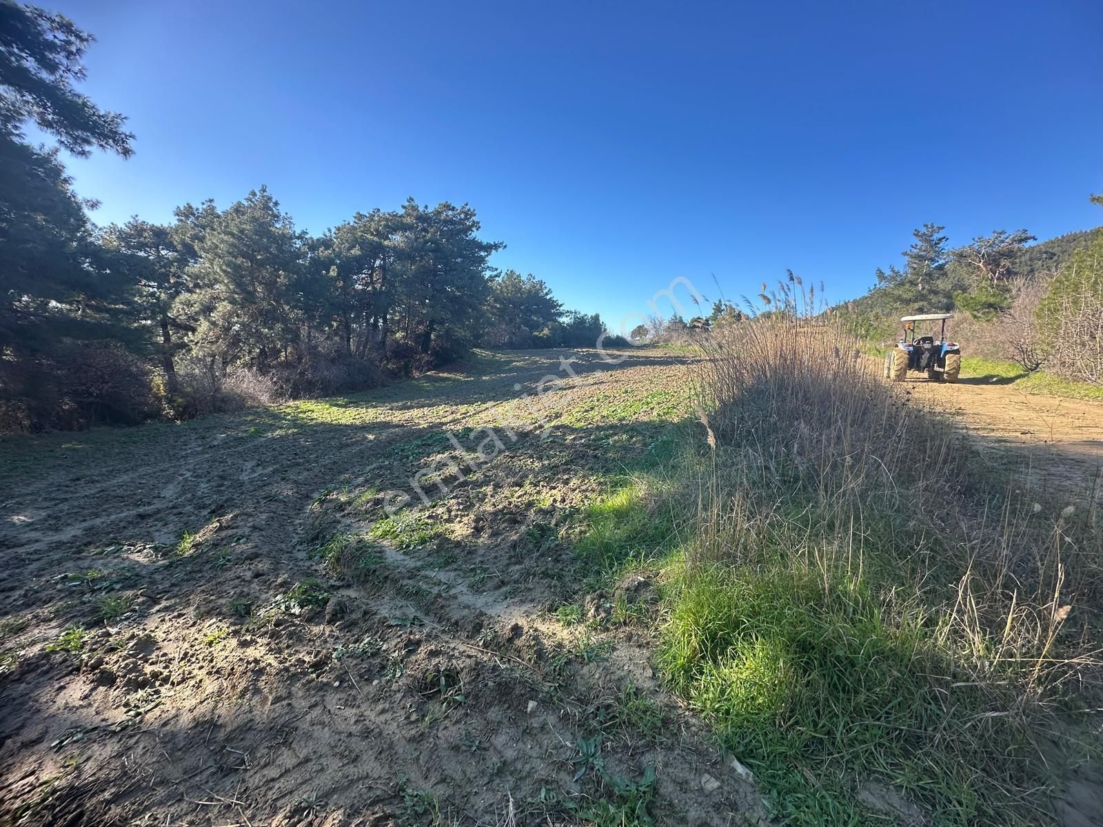 Gelibolu Burhanlı'da Kaçırılmayacak Arazi Fırsatı!-acil Satılık. - Görsel 5