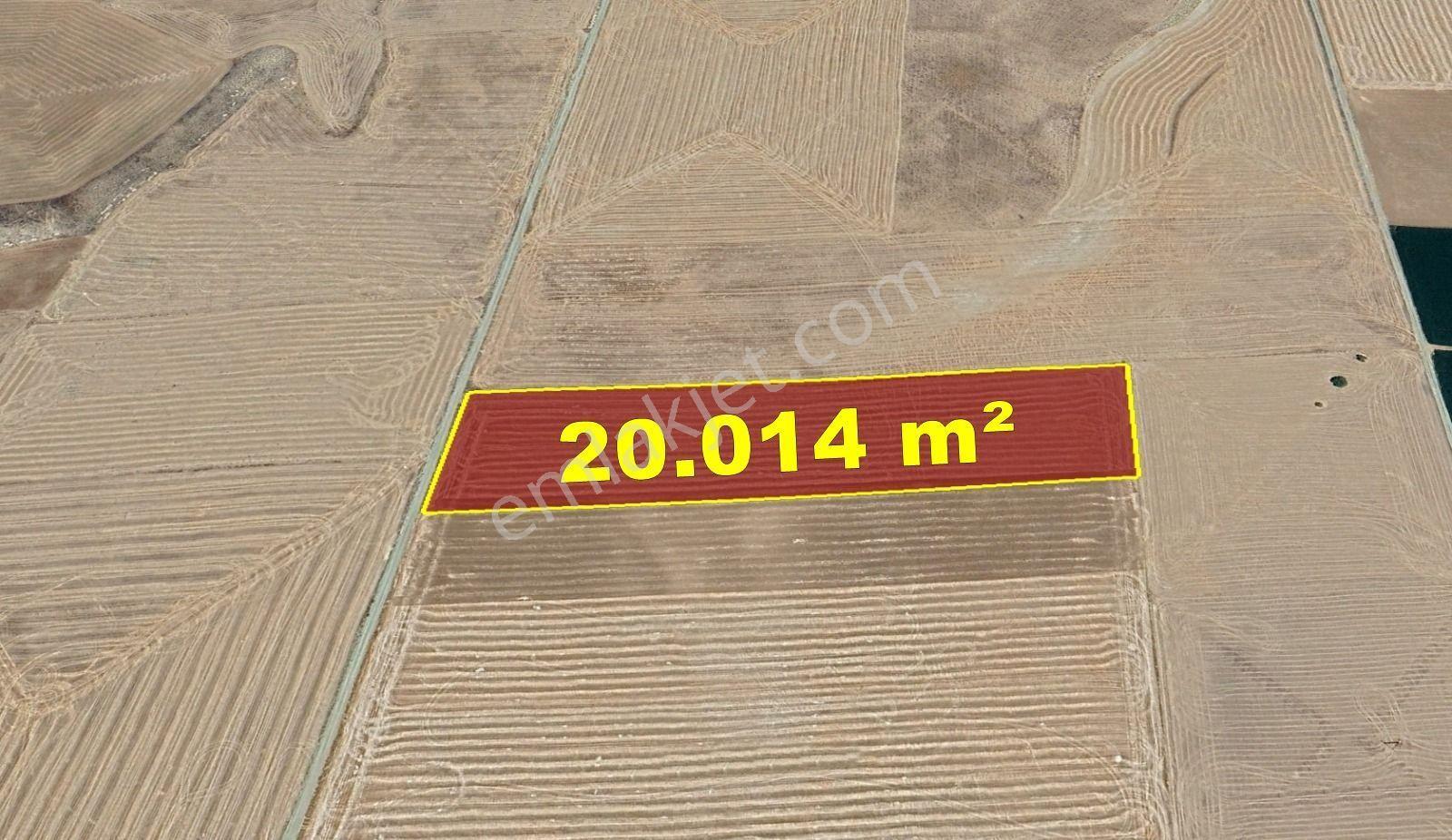 Karaman / Kazımkarabekir / Kızılkuyu Mahallesinde 20.014 M² Müstakil Tapulu Tarla - Görsel 9
