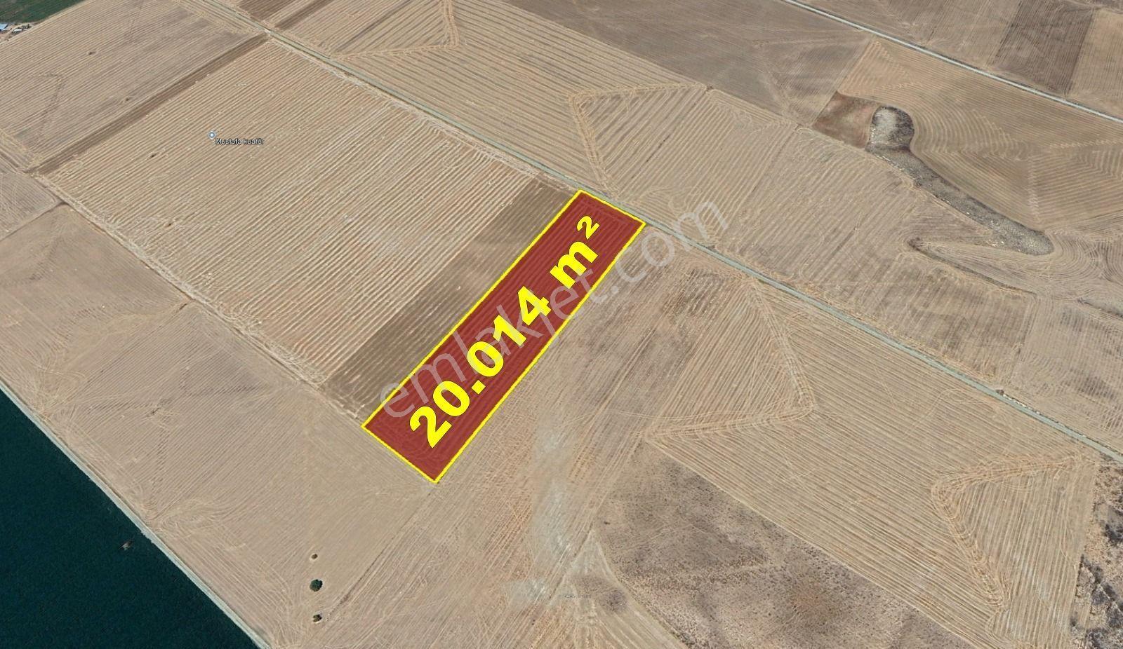 Karaman / Kazımkarabekir / Kızılkuyu Mahallesinde 20.014 M² Müstakil Tapulu Tarla - Görsel 7