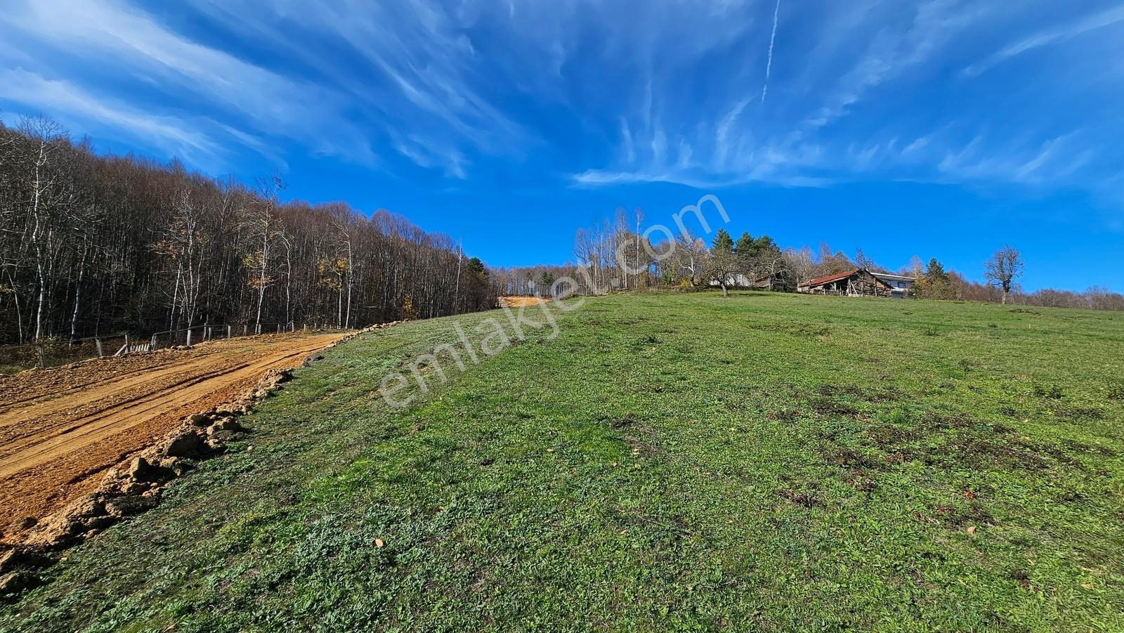 Acara'dan/iznik Kutluca'da Asfalta Cephe / 423m² Villalık Arsa - Görsel 14
