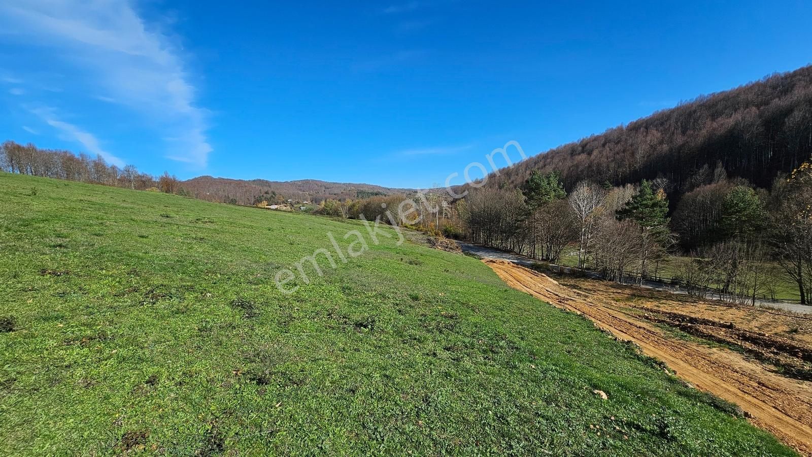 Acara'dan/iznik Kutluca'da Asfalta Cephe / 423m² Villalık Arsa - Görsel 14