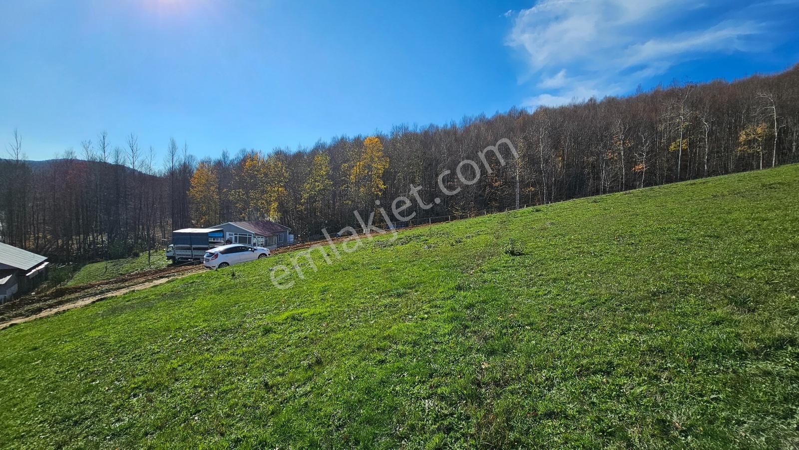 Acara'dan/iznik Kutluca'da Asfalta Cephe / 423m² Villalık Arsa - Görsel 8