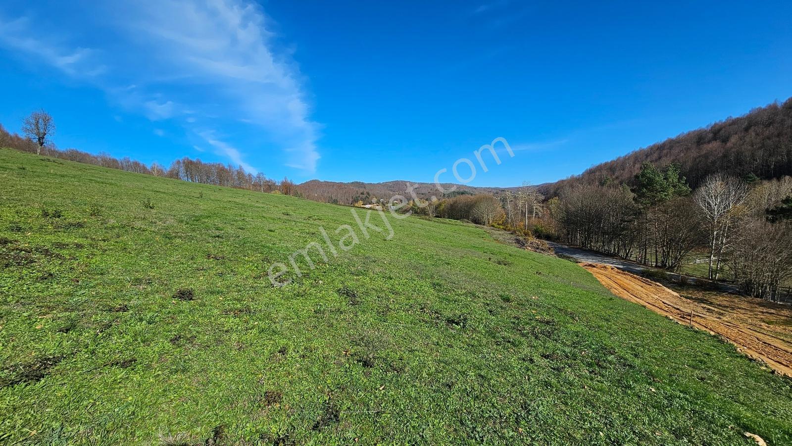 Acara'dan/iznik Kutluca'da Asfalta Cephe / 423m² Villalık Arsa - Görsel 17