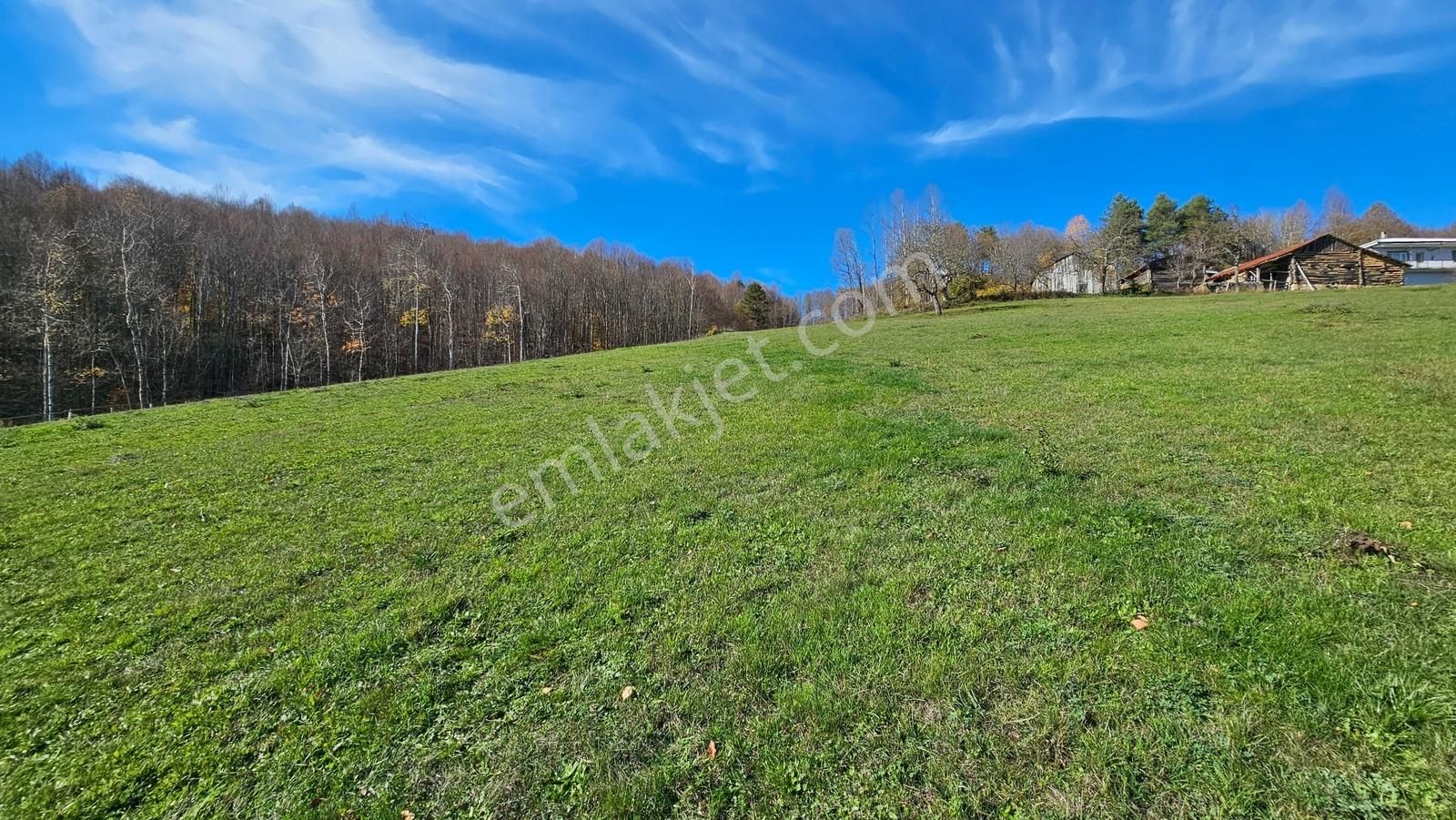 Acara'dan/iznik Kutluca'da Asfalta Cephe / 423m² Villalık Arsa