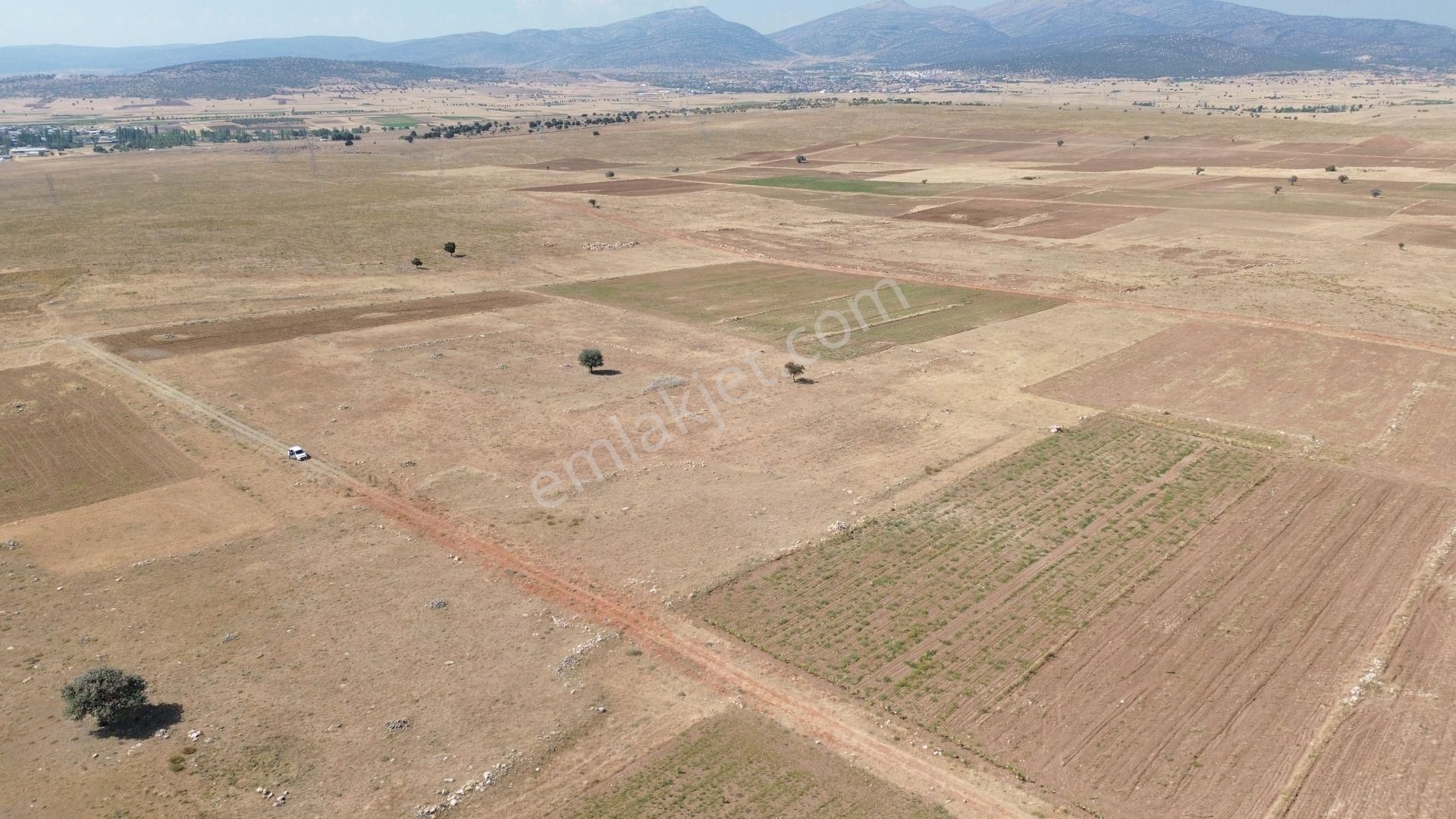 Konya / Akören / Orhaniye Mahallesinde 16.566 M² Müstakil Tapulu Tarla - Görsel 7