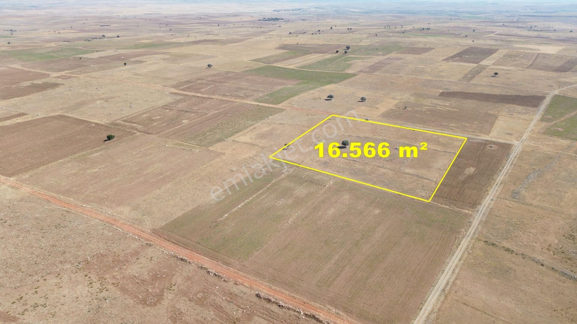 Konya / Akören / Orhaniye Mahallesinde 16.566 M² Müstakil Tapulu Tarla - Görsel 6