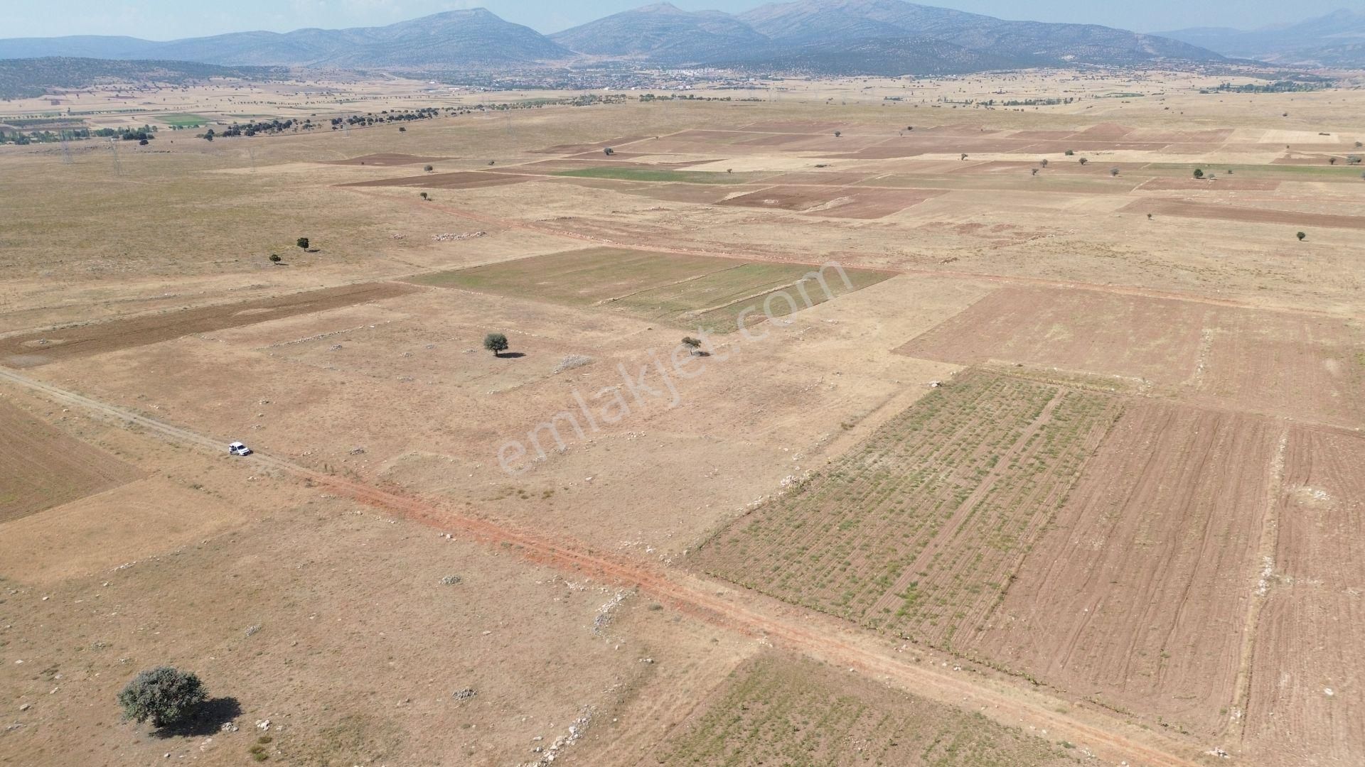Konya / Akören / Orhaniye Mahallesinde 16.566 M² Müstakil Tapulu Tarla - Görsel 3