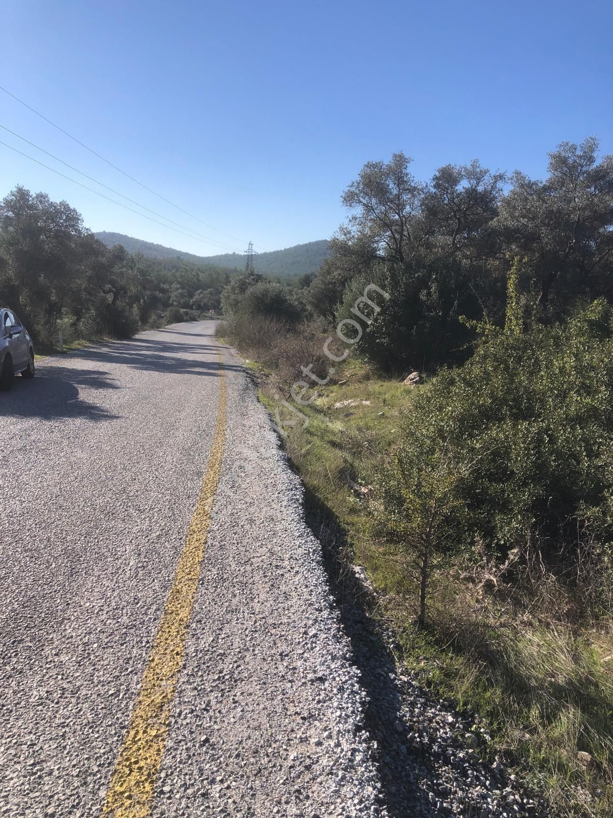 Milas Bozbük Te Yola Cephe 6072 M2 Satılık Zeytinlik - Görsel 2