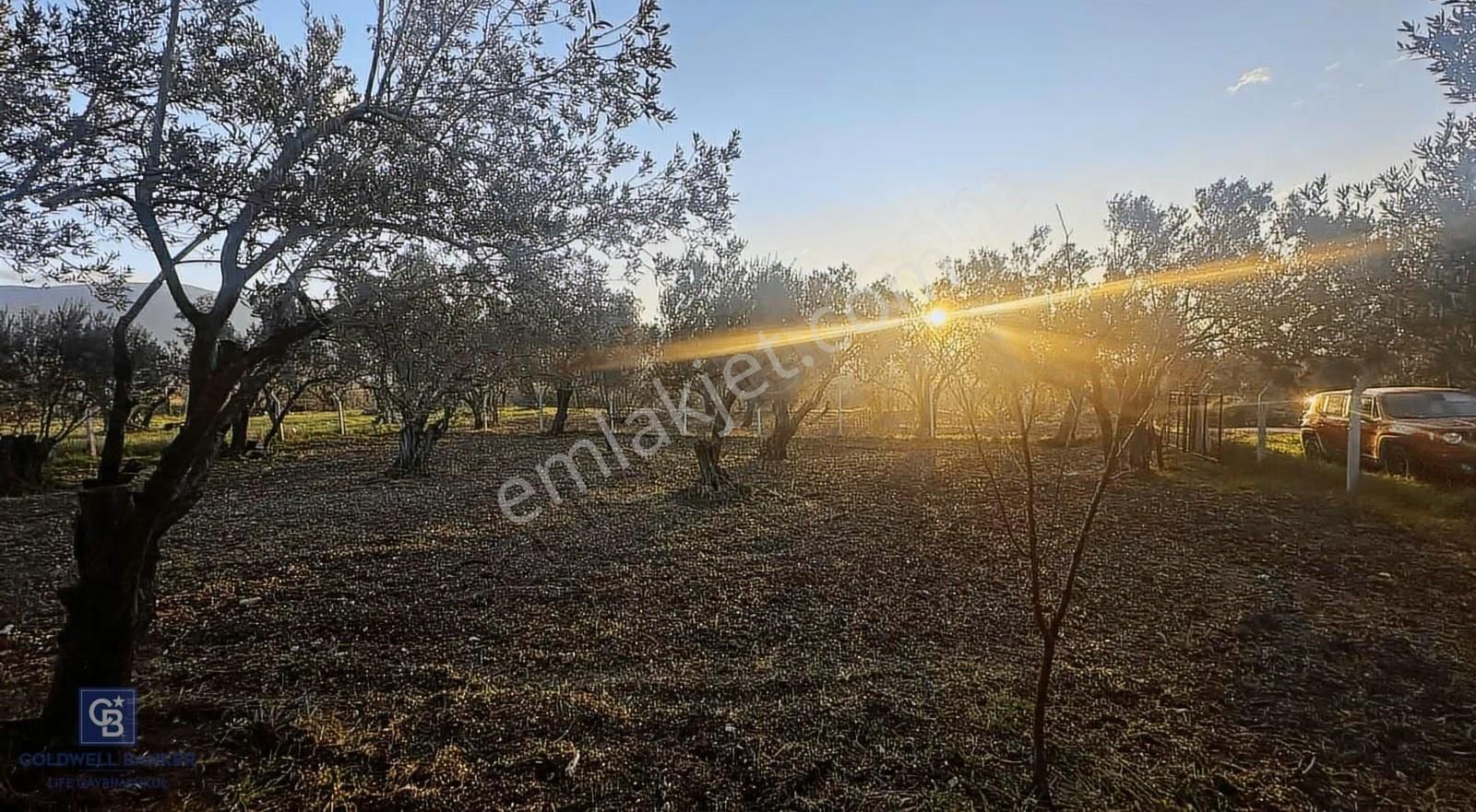 Aliağa Barbaros Hayrettin Paşa 820 M2 Satılık Tarla - Görsel 5