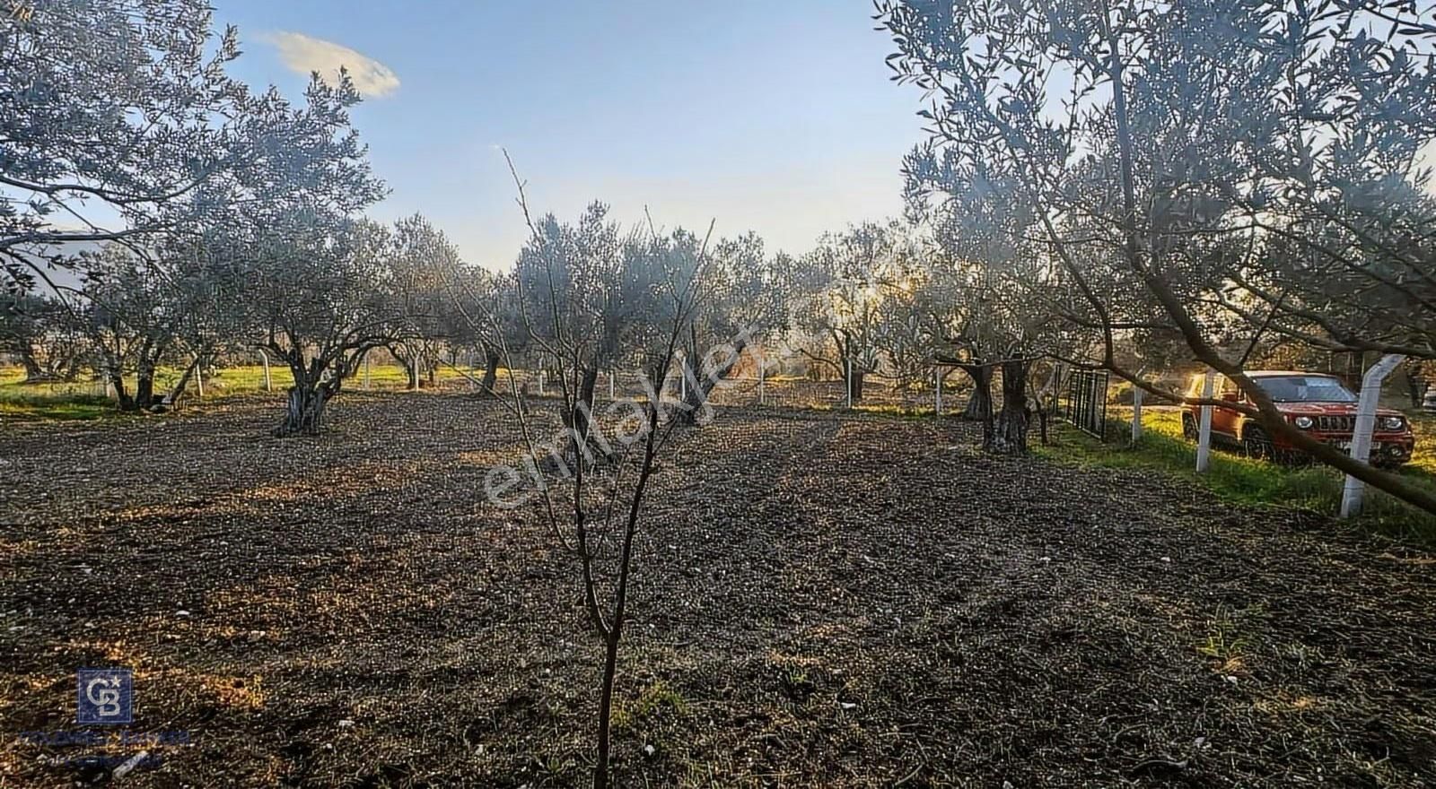 Aliağa Barbaros Hayrettin Paşa 820 M2 Satılık Tarla - Görsel 17