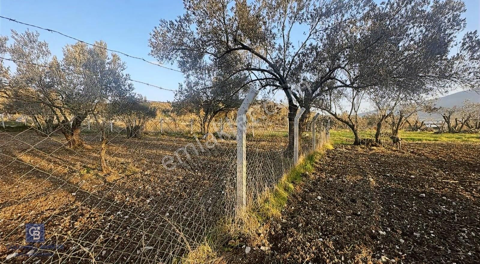 Aliağa Barbaros Hayrettin Paşa 820 M2 Satılık Tarla