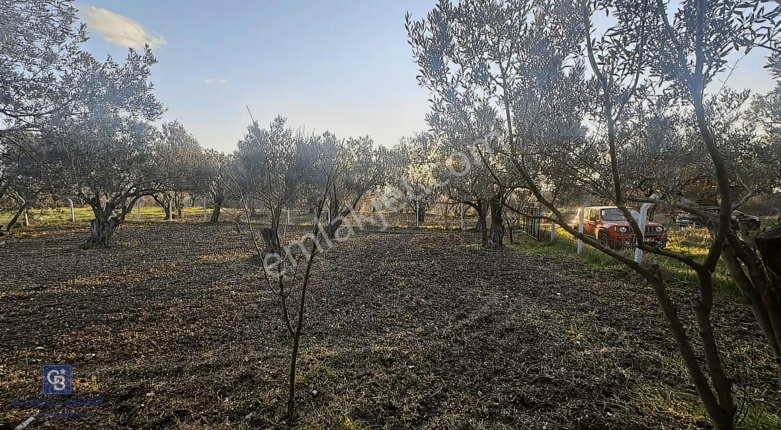 Aliağa Barbaros Hayrettin Paşa 1450 M2 Satılık Tarla - Görsel 23