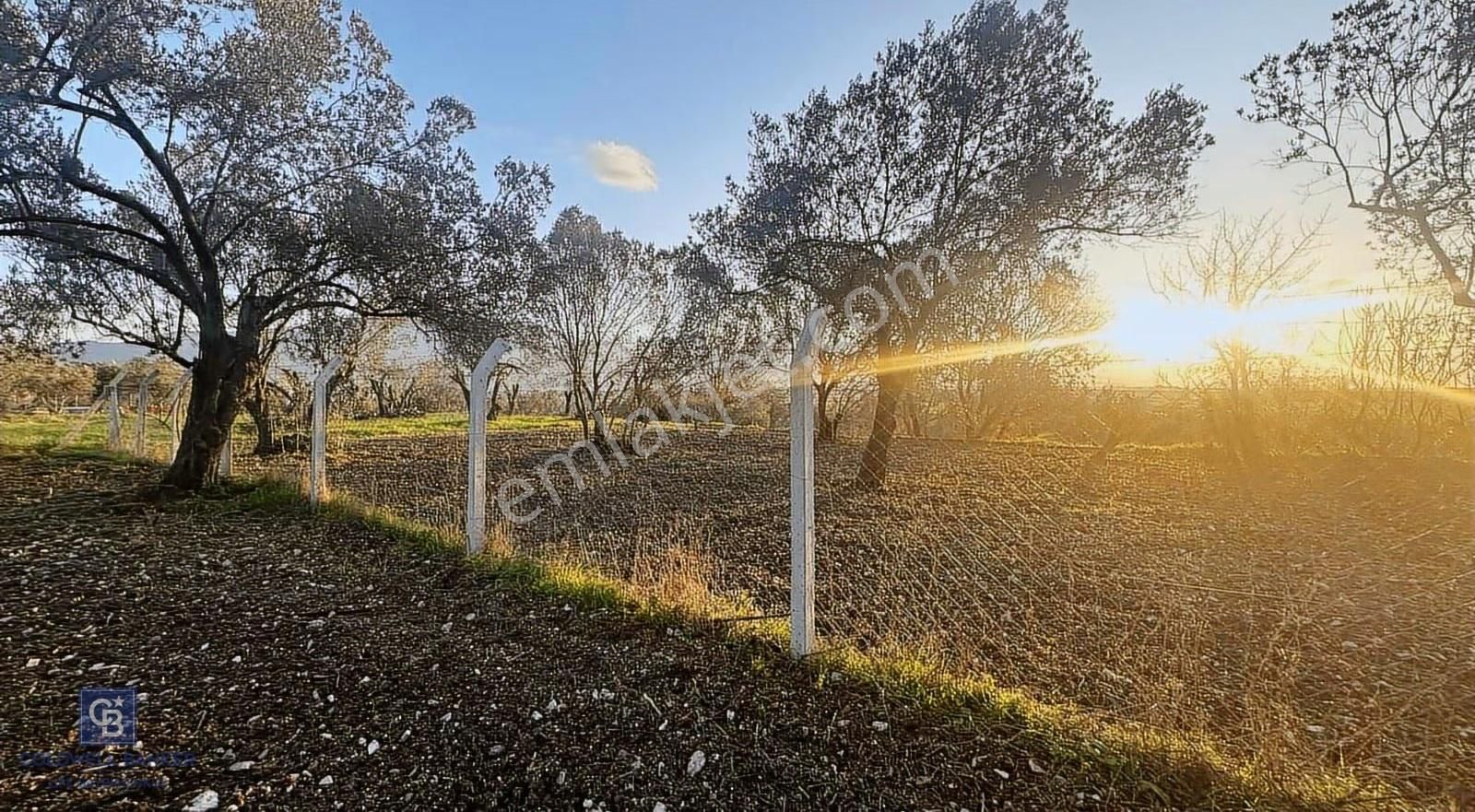 Aliağa Barbaros Hayrettin Paşa 1450 M2 Satılık Tarla - Görsel 9