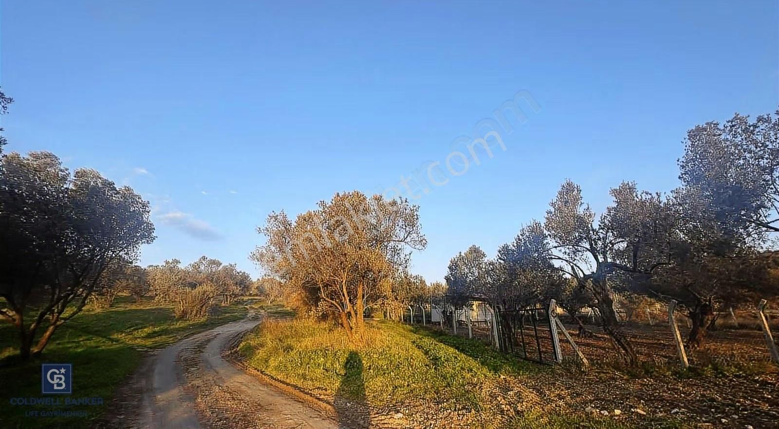 Aliağa Barbaros Hayrettin Paşa 1450 M2 Satılık Tarla - Görsel 6