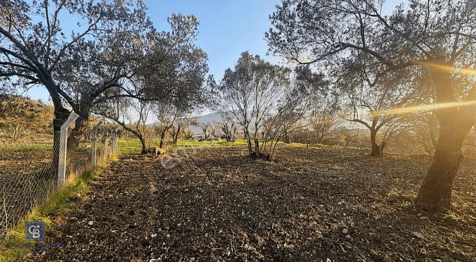 Aliağa Barbaros Hayrettin Paşa 1450 M2 Satılık Tarla - Görsel 21