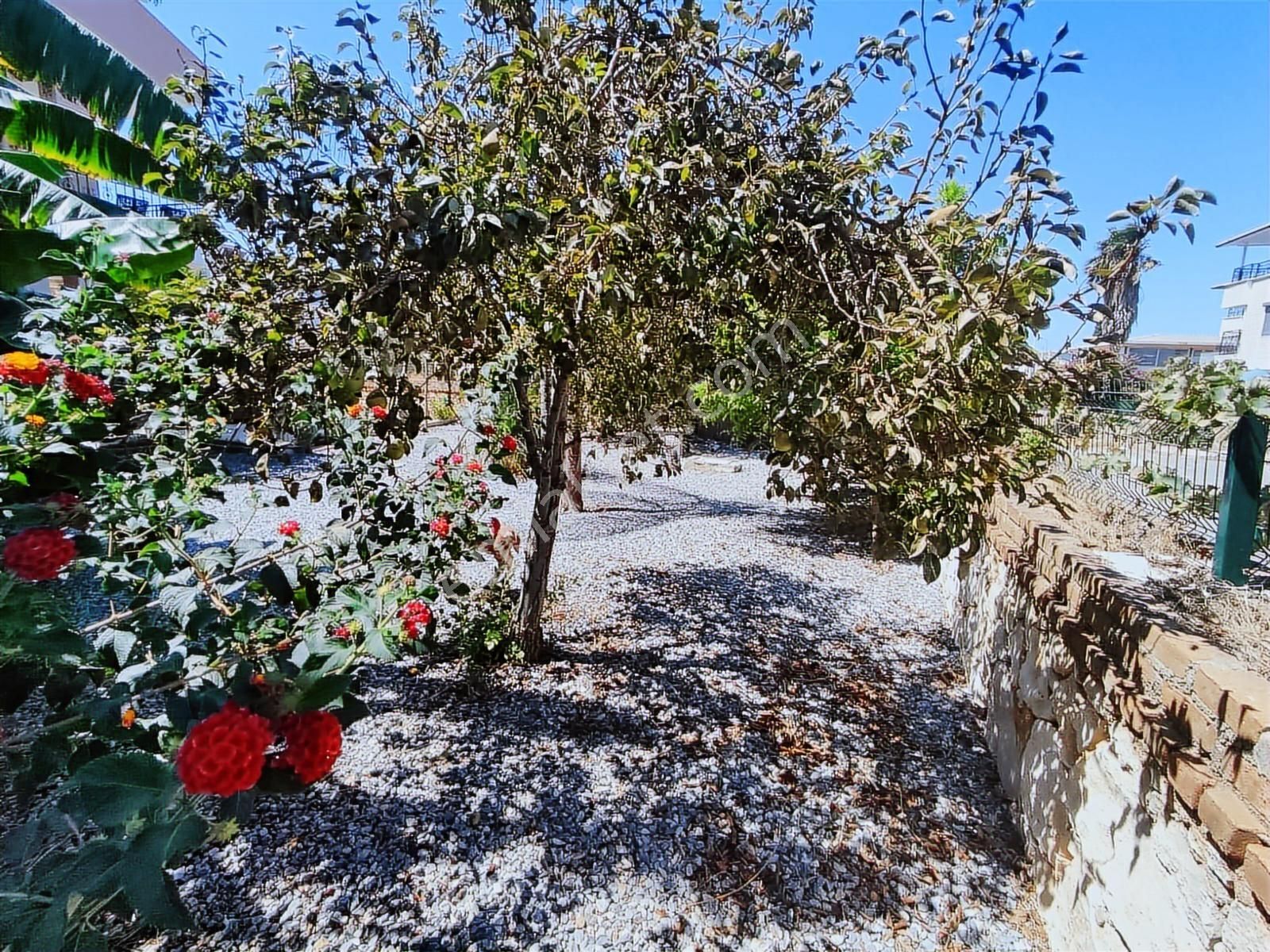 Akbük Merkezde 2+1 Bahçekat Eşyalı Daire - Görsel 7