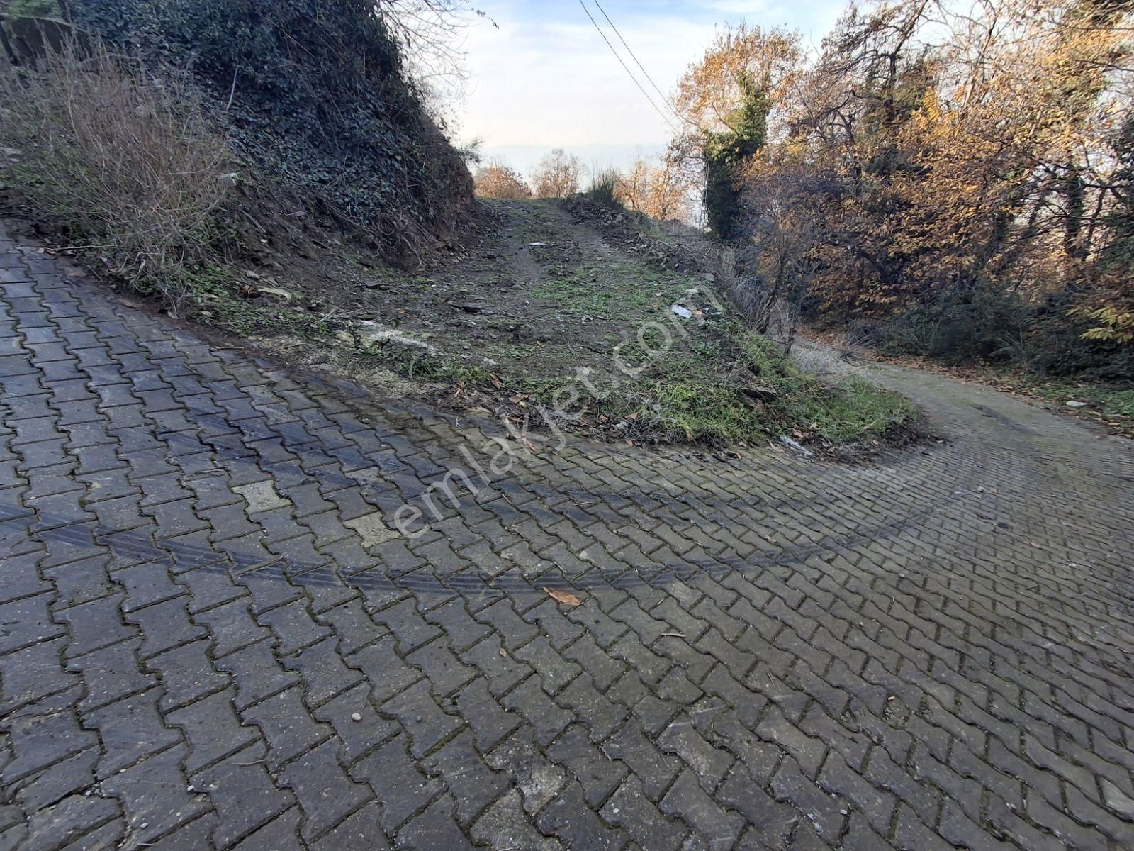 Tire Kaplan Mah. Satılık Yol Üzeri, Elektrik Ve Suyu Olan Bahçe - Görsel 21