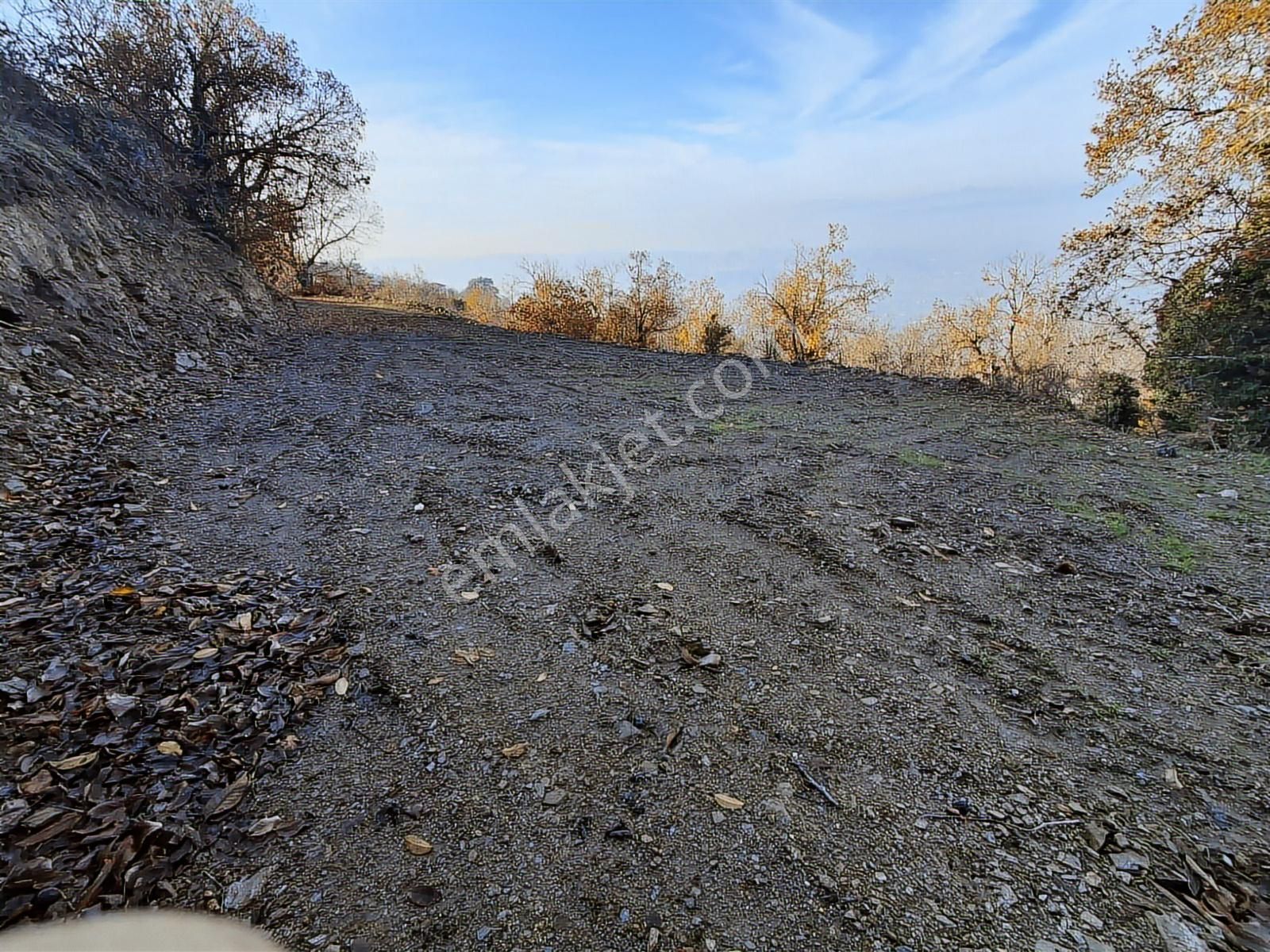 Tire Kaplan Mah. Satılık Yol Üzeri, Elektrik Ve Suyu Olan Bahçe - Görsel 6