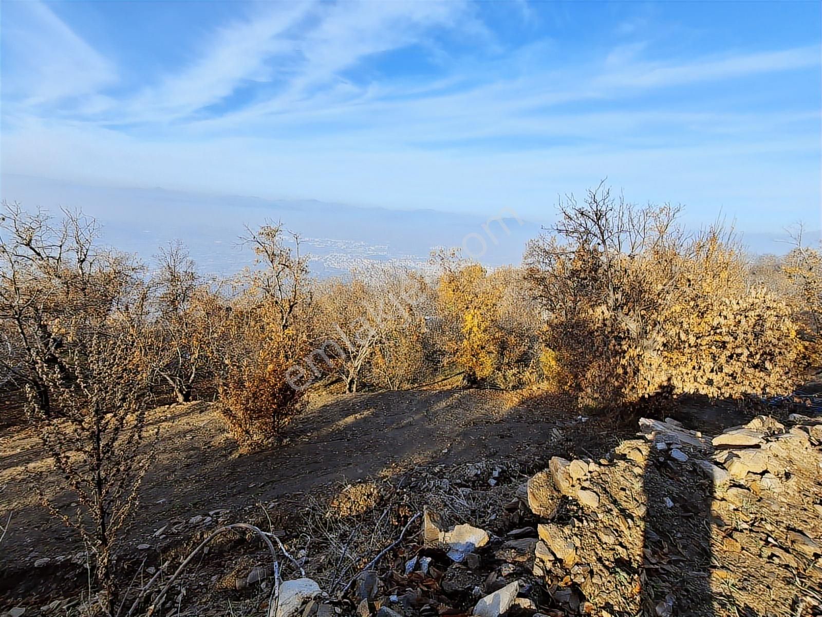 Tire Kaplan Mah. Satılık Yol Üzeri, Elektrik Ve Suyu Olan Bahçe - Görsel 8