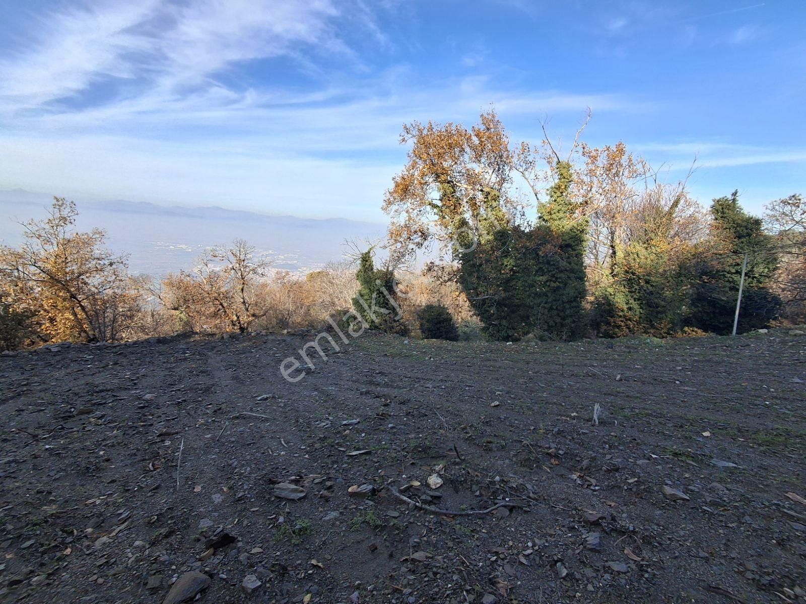 Tire Kaplan Mah. Satılık Yol Üzeri, Elektrik Ve Suyu Olan Bahçe - Görsel 16