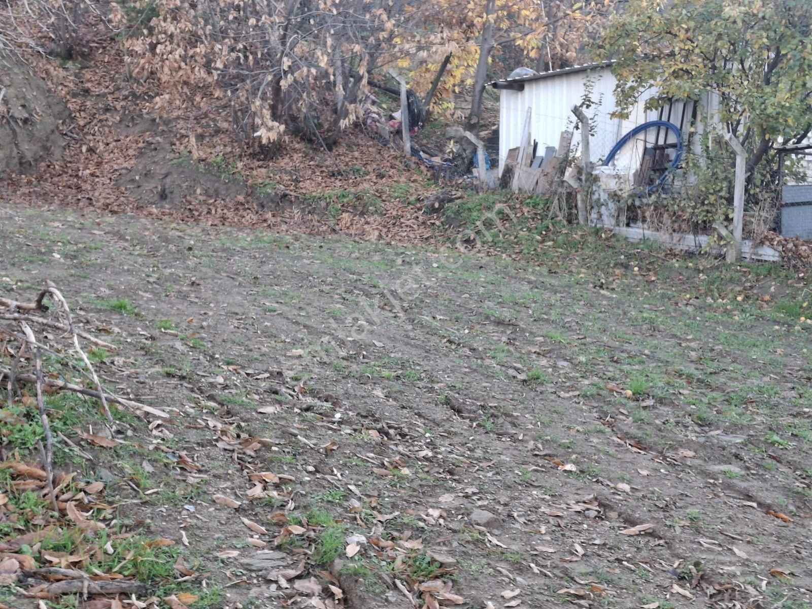 Tire Kaplan Mah. Satılık Yol Üzeri, Elektrik Ve Suyu Olan Bahçe - Görsel 4