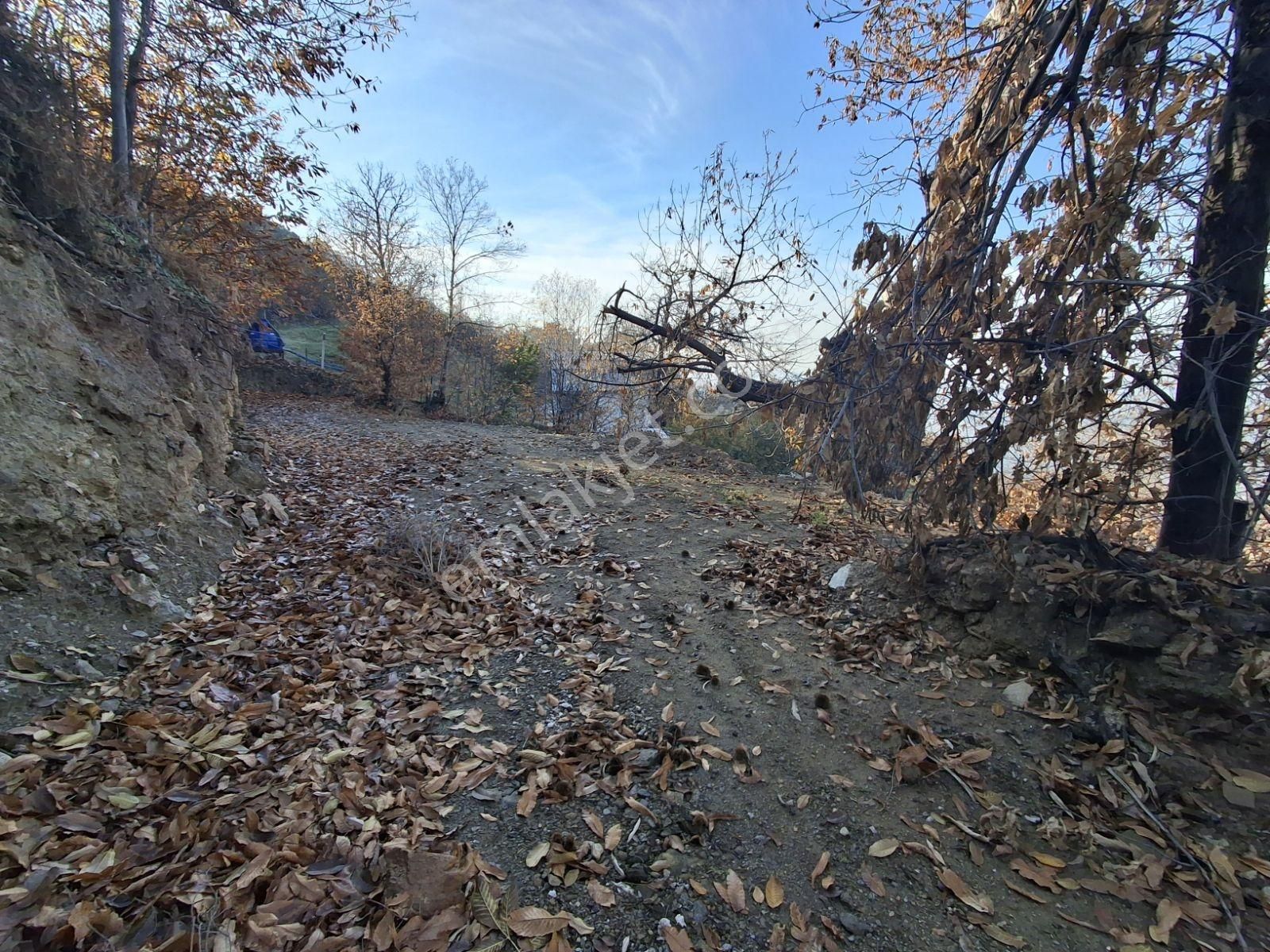 Tire Kaplan Mah. Satılık Yol Üzeri, Elektrik Ve Suyu Olan Bahçe - Görsel 7