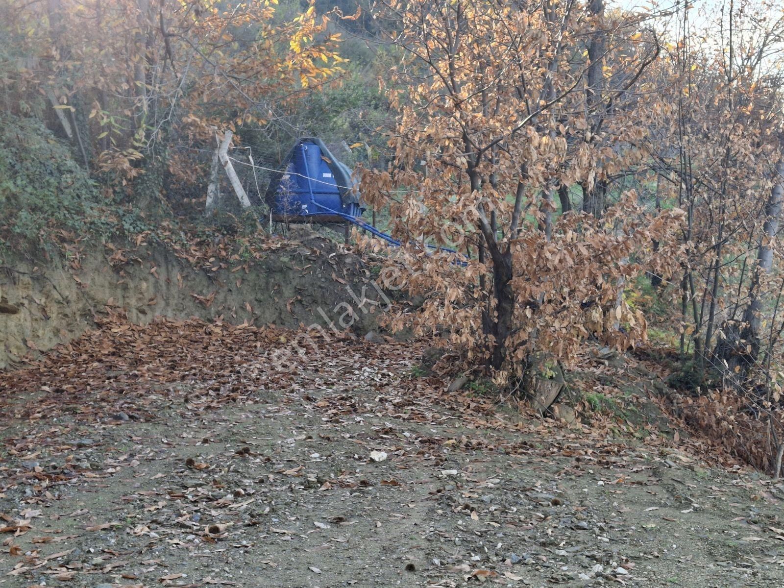 Tire Kaplan Mah. Satılık Yol Üzeri, Elektrik Ve Suyu Olan Bahçe - Görsel 5
