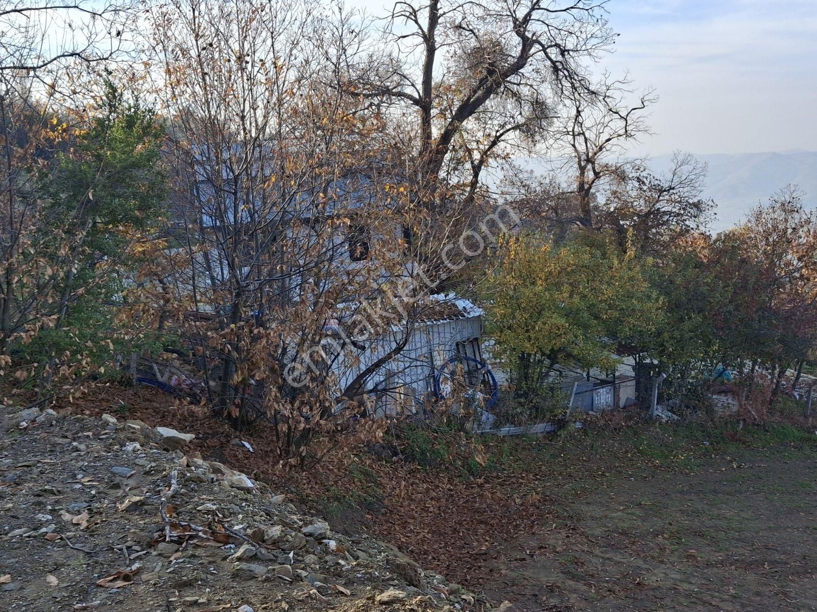 Tire Kaplan Mah. Satılık Yol Üzeri, Elektrik Ve Suyu Olan Bahçe - Görsel 9