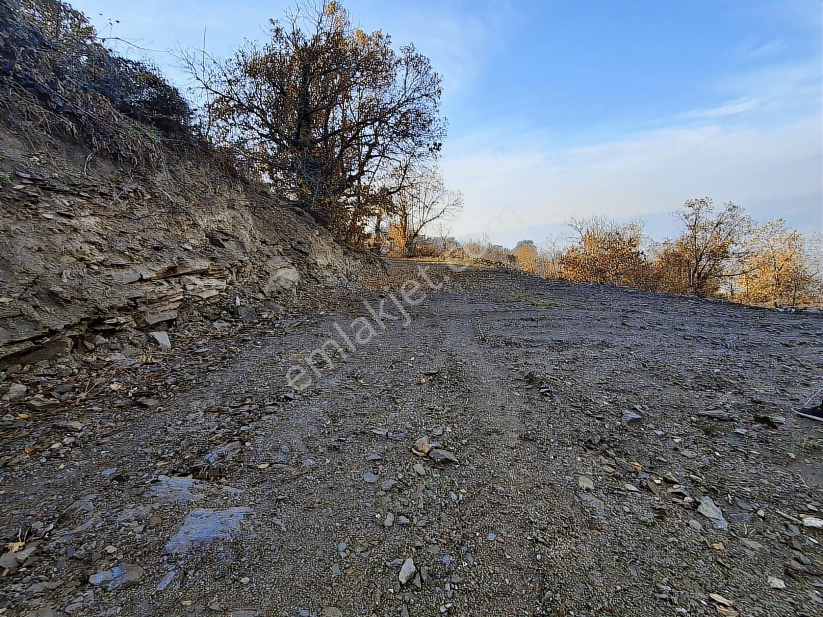 Tire Kaplan Mah. Satılık Yol Üzeri, Elektrik Ve Suyu Olan Bahçe - Görsel 17