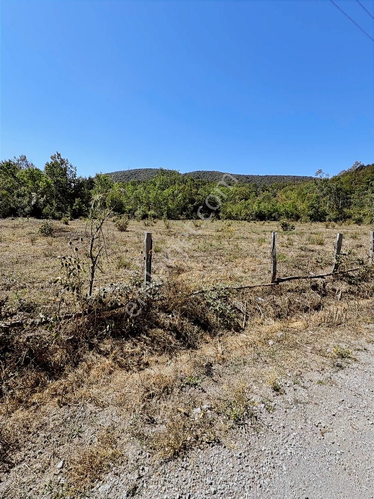 Ruşen Aydın Gayrimenkul'den Kaynaşlı Saz Köyde Satılık Arsa - Görsel 12