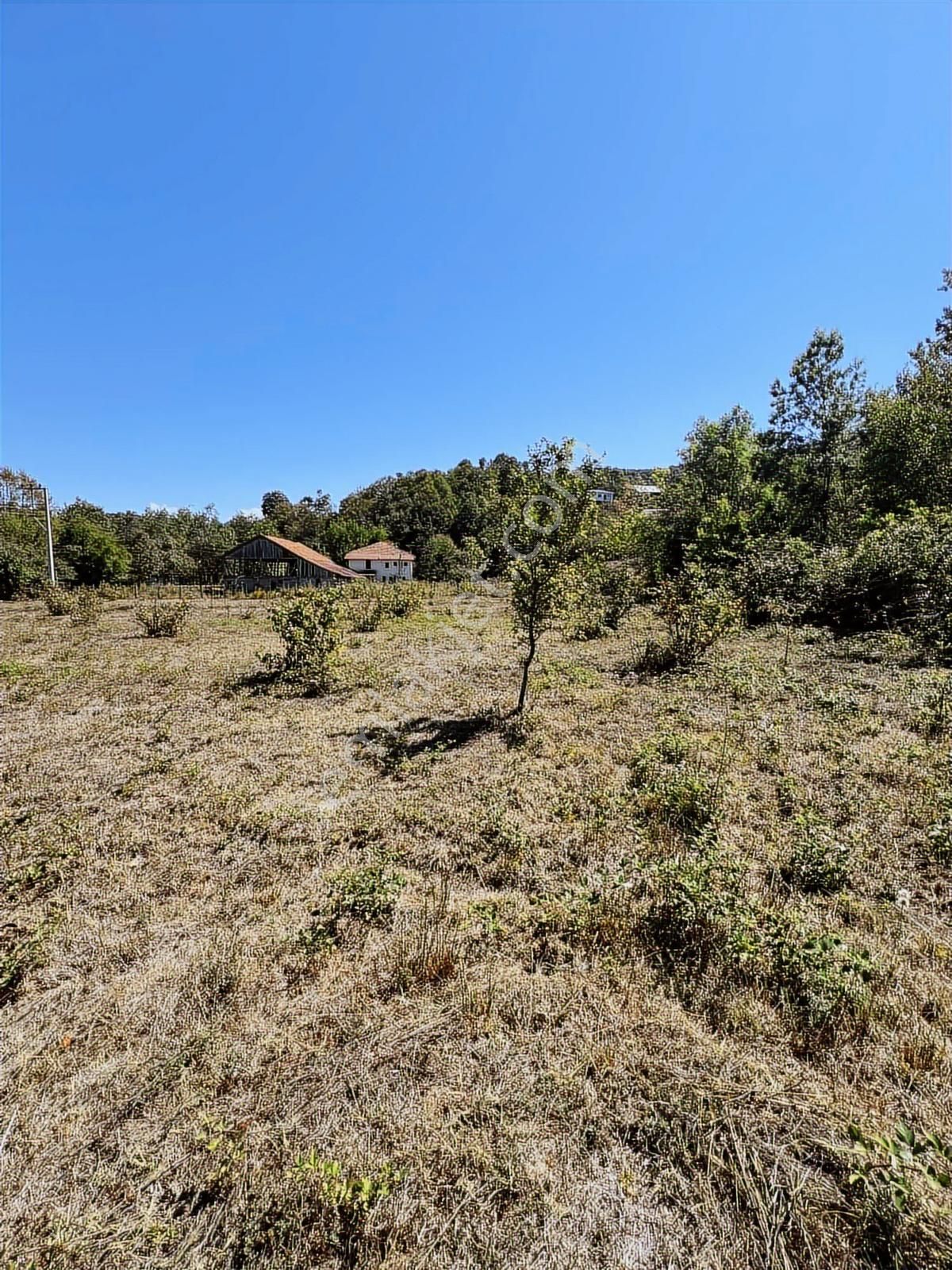 Ruşen Aydın Gayrimenkul'den Kaynaşlı Saz Köyde Satılık Arsa - Görsel 19