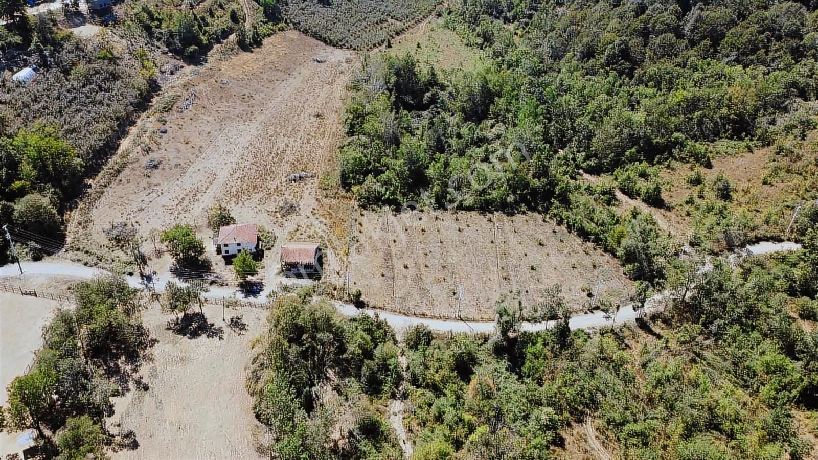 Ruşen Aydın Gayrimenkul'den Kaynaşlı Saz Köyde Satılık Arsa - Görsel 23