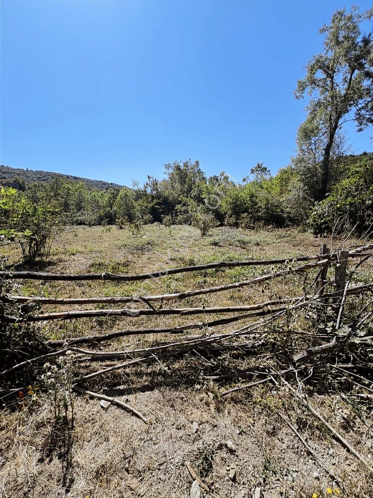 Ruşen Aydın Gayrimenkul'den Kaynaşlı Saz Köyde Satılık Arsa - Görsel 10