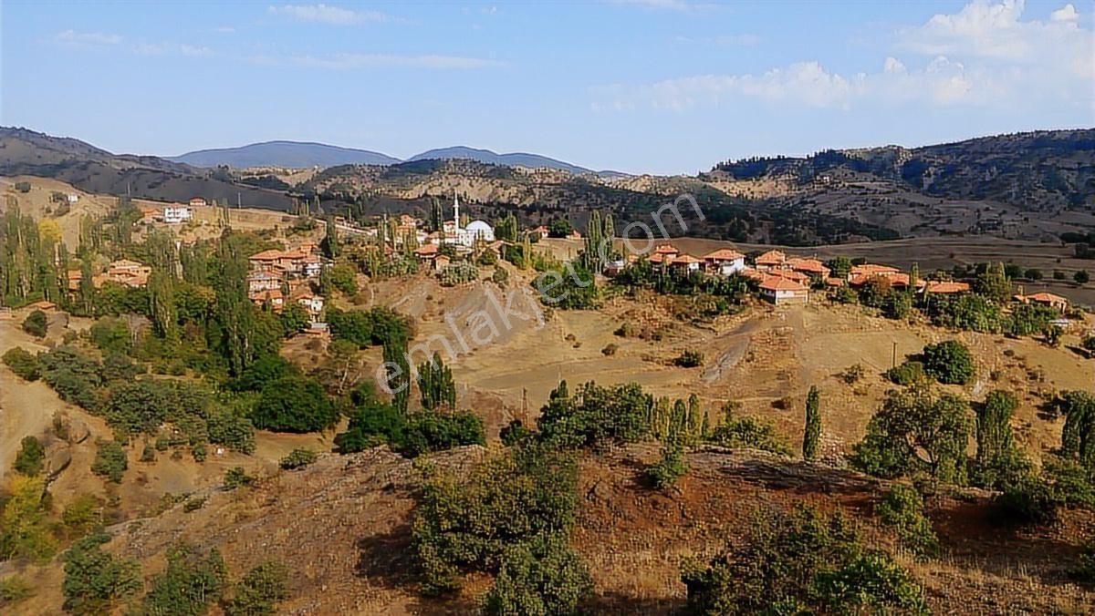 Coldwell Banker'dan 10350 M2 Bayat Merkeze 4.2 Km Uzaklıkta - Görsel 10