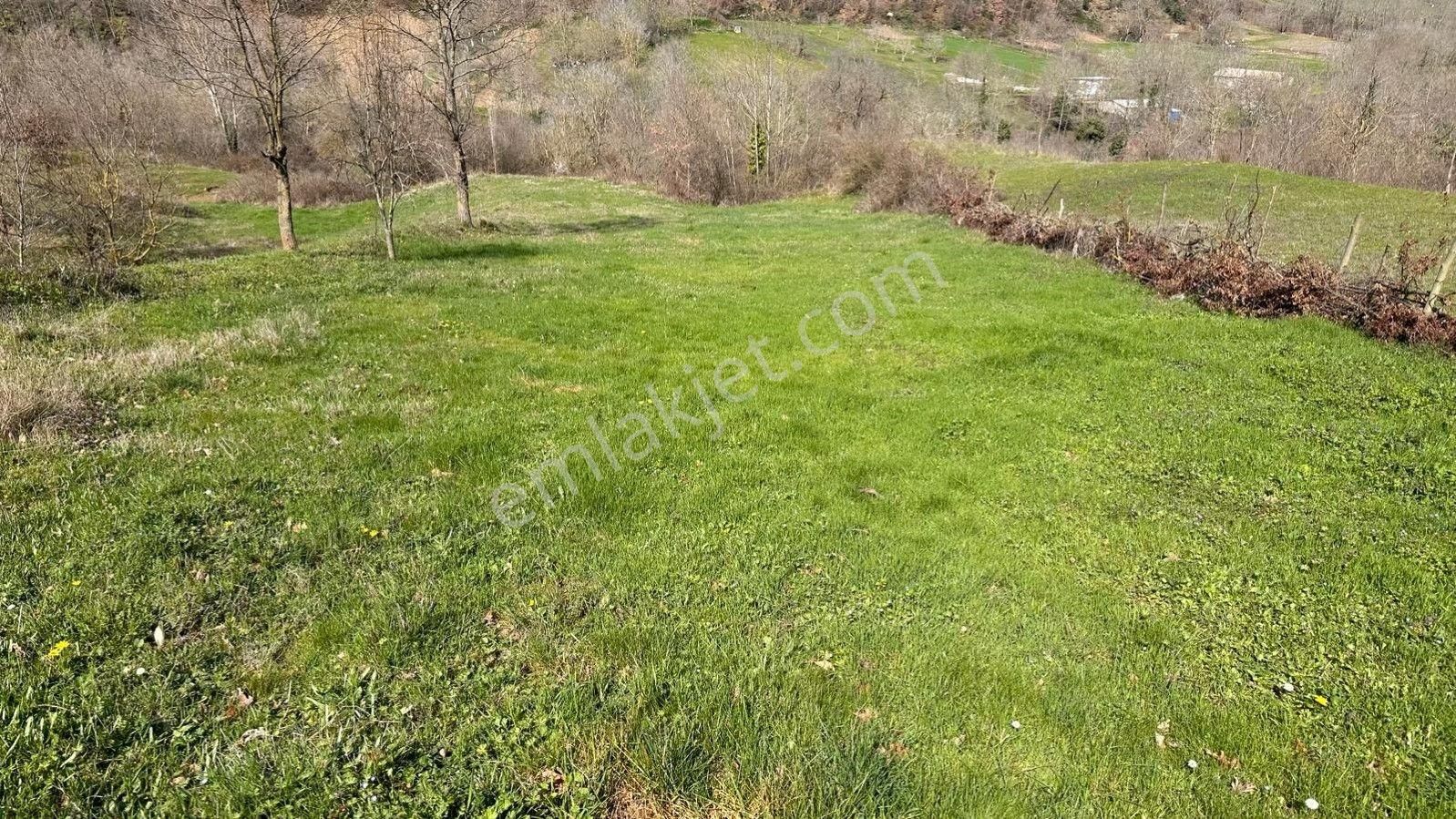 Lir Den Çanakkale Biga Yolindi Köyü'nde Satılık 162 M² Arsa - Görsel 2