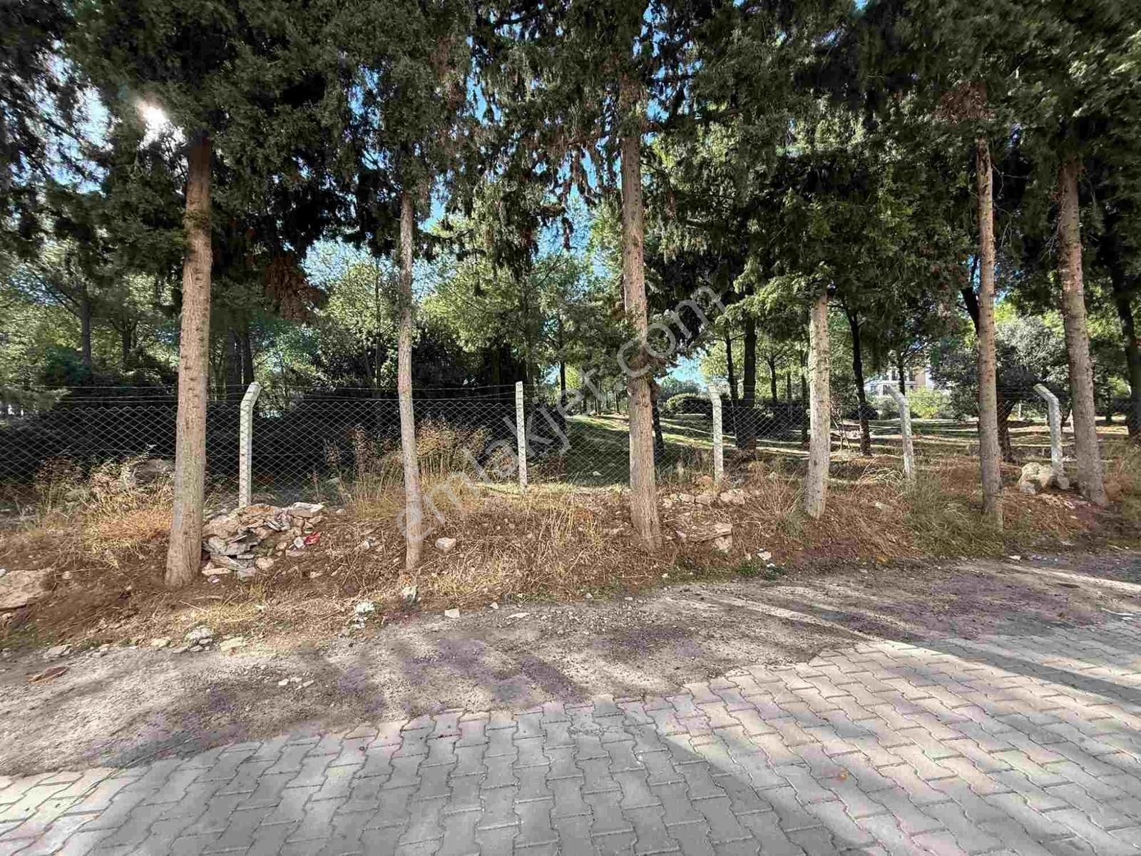 Altınkum Mah'nde Denızle Arasında Sadece Küçük Bır Koru Bulunan - Görsel 2