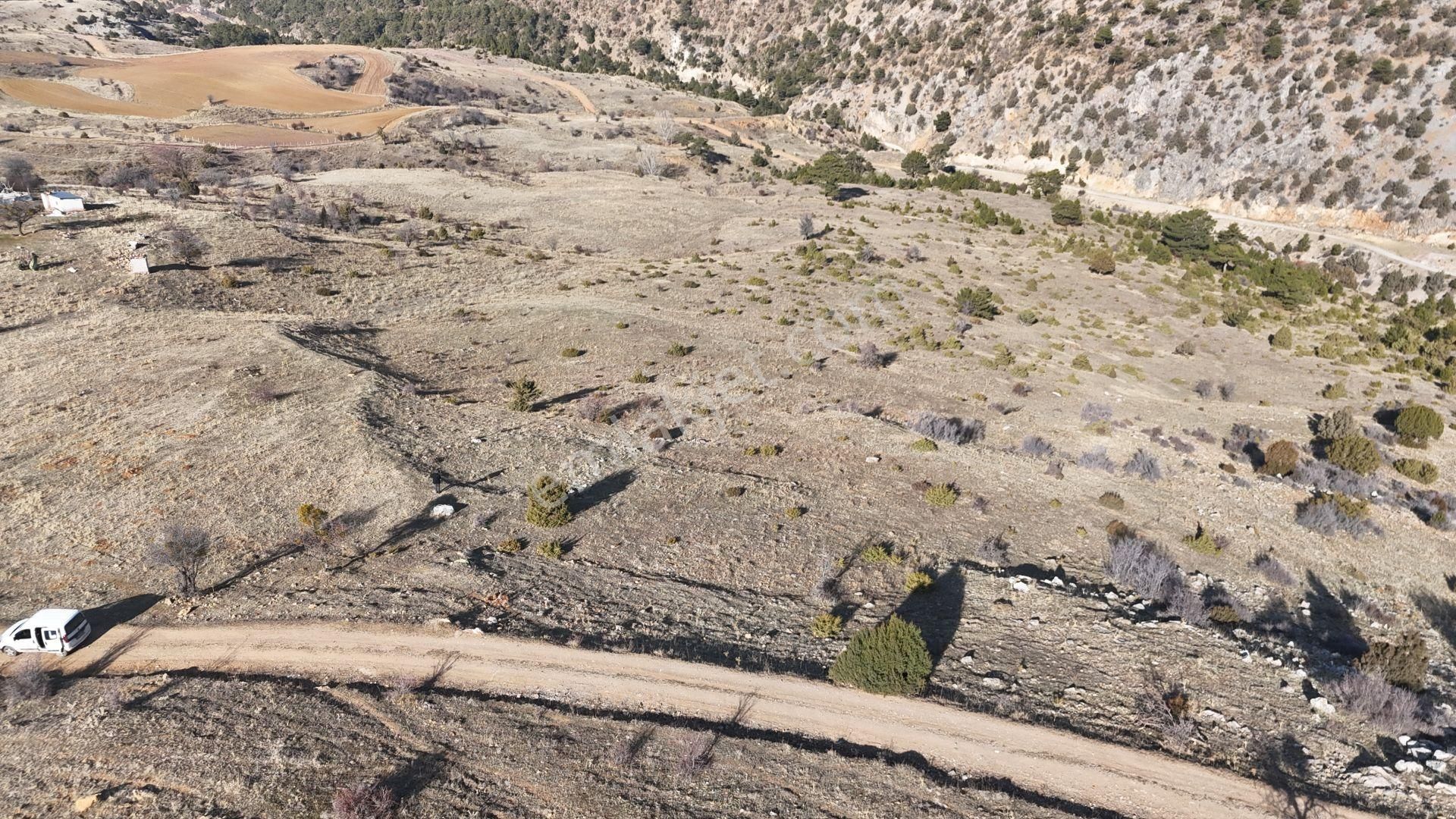 Konya / Ilgın / Gökçeyurt-özlem Mahallesinde 4.816 M² Müstakil Tapulu Tarla - Görsel 4