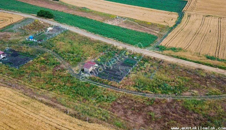 Büyükçavuşlu Da 7240 M2 Arazi - Görsel 4