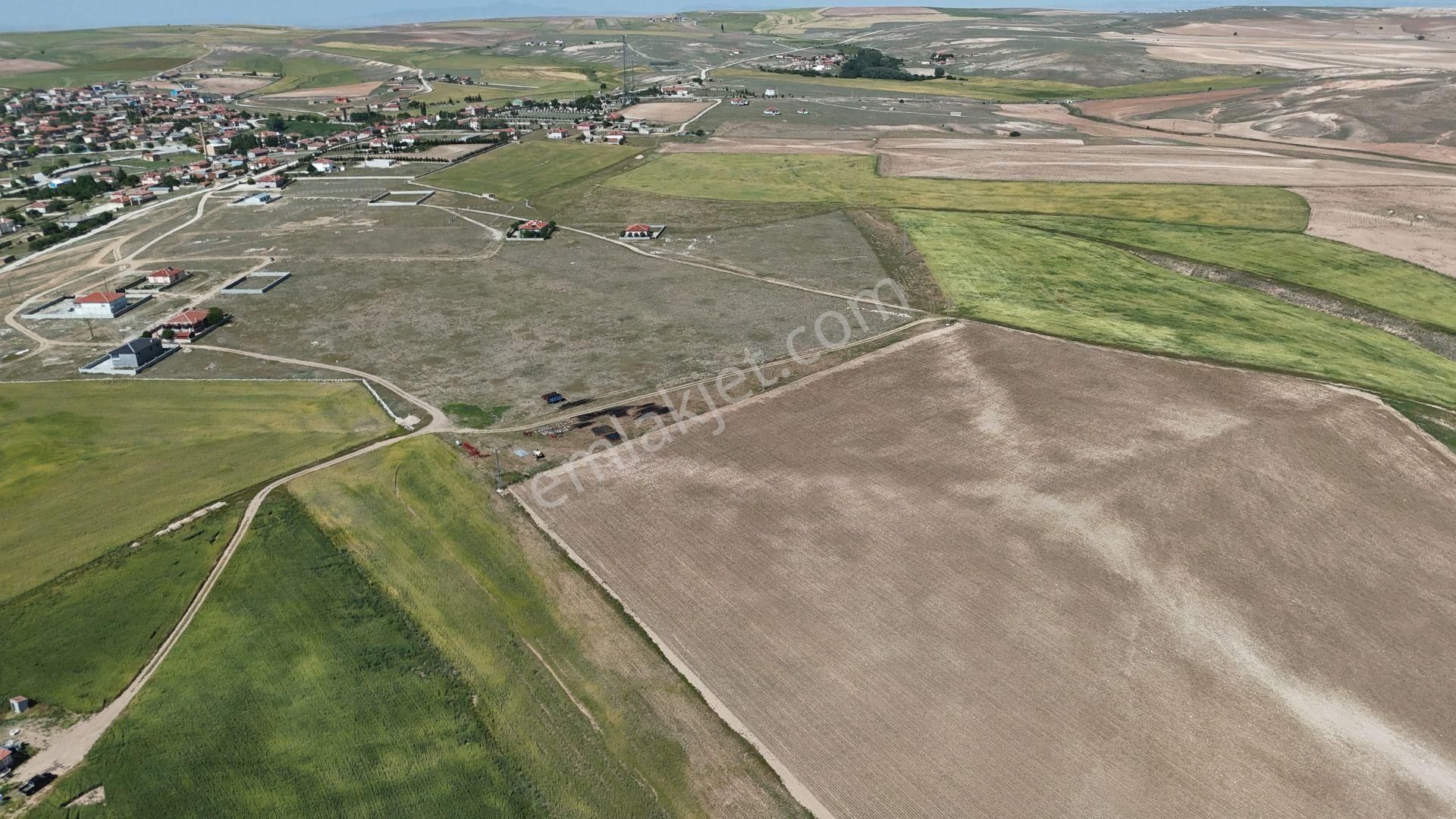 Konya / Cihanbeyli / Kelhasan 579 M² Müstakil Tapu Konut İmarlı Arsa - Görsel 4