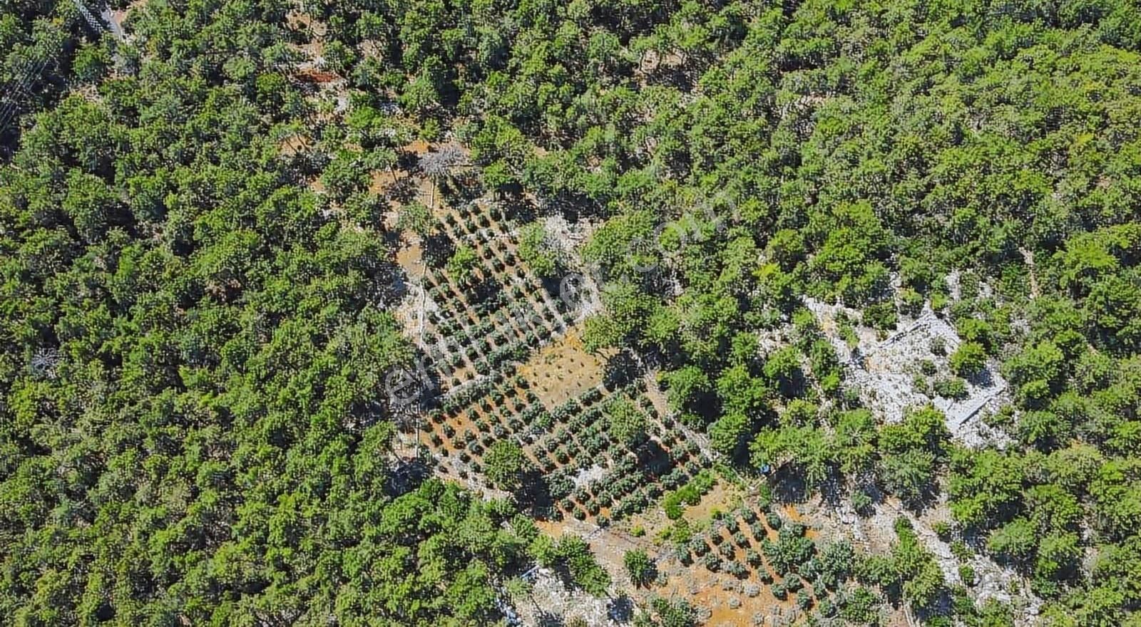 07 Truva Emlaktan Kemer Tekirovada Satılık Arazi - Görsel 4