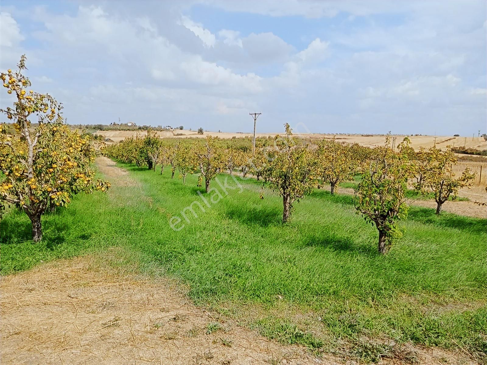 Hayalinizdeki Yatırımlık Bahçe 18.950 M2 - Görsel 7