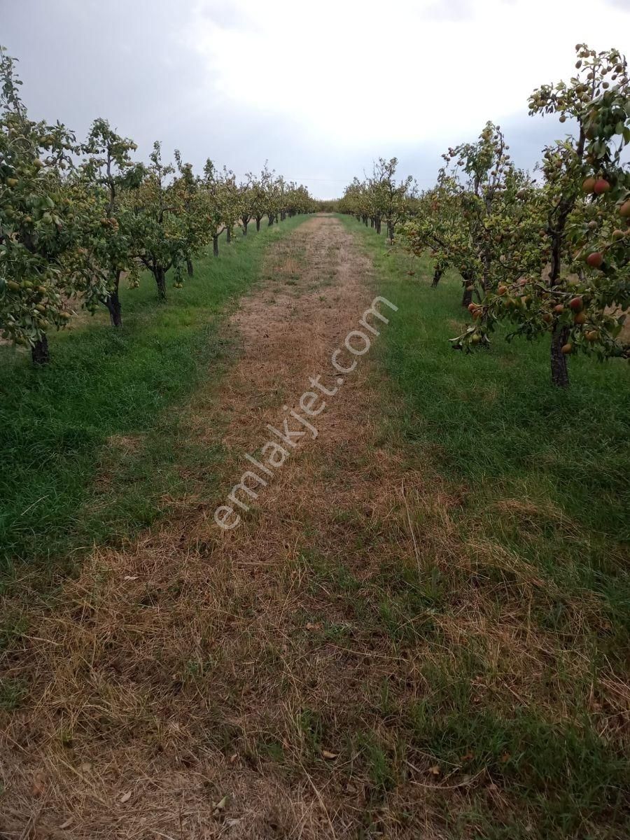 Hayalinizdeki Yatırımlık Bahçe 18.950 M2 - Görsel 6