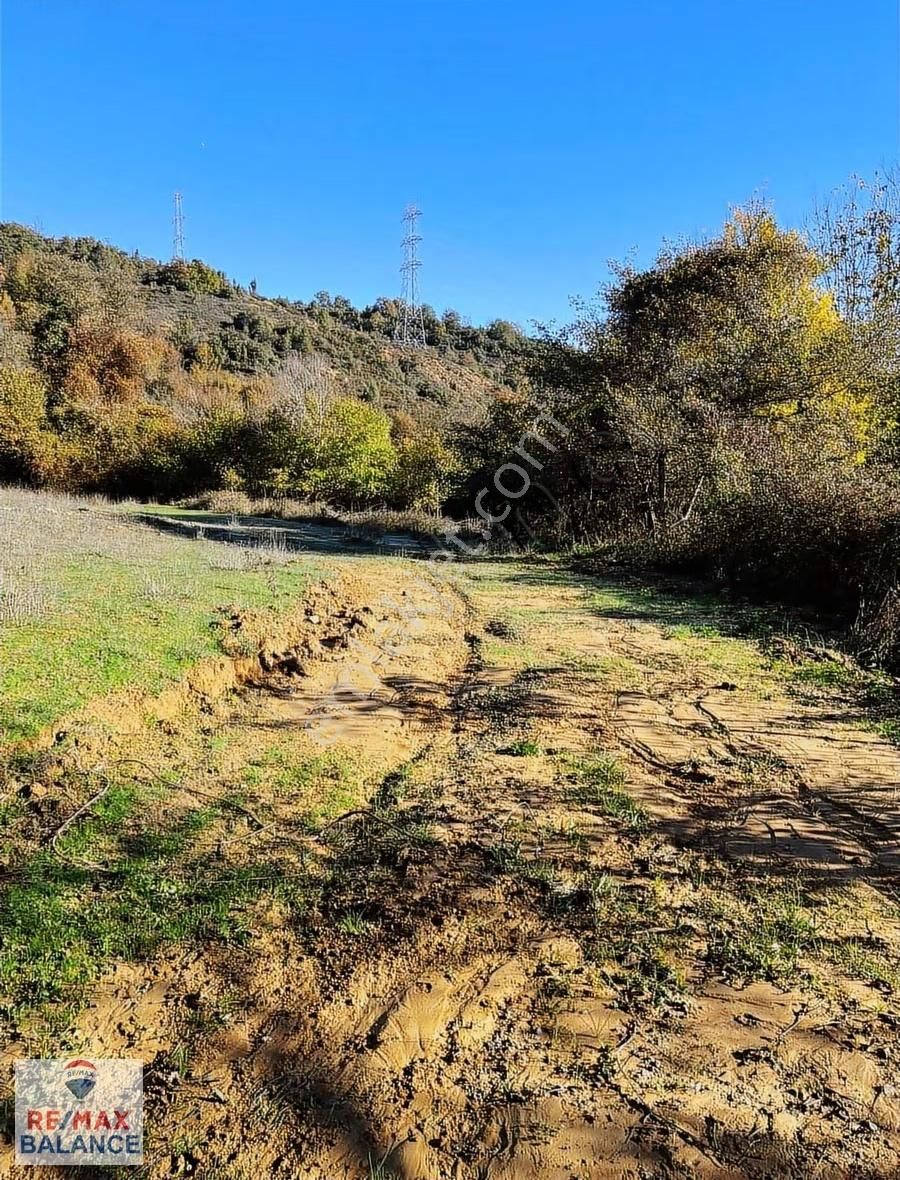 İstanbul Şile Yaka Mahallesinde Satılık Arsa - Görsel 3