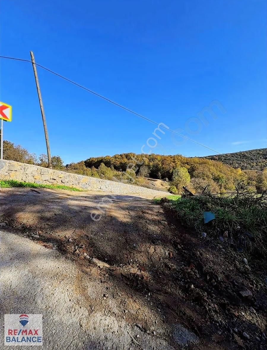 İstanbul Şile Yaka Mahallesinde Satılık Arsa - Görsel 9