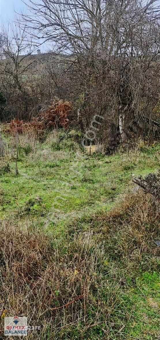 İstanbul Şile Yaka Mahallesinde Satılık Arsa - Görsel 2